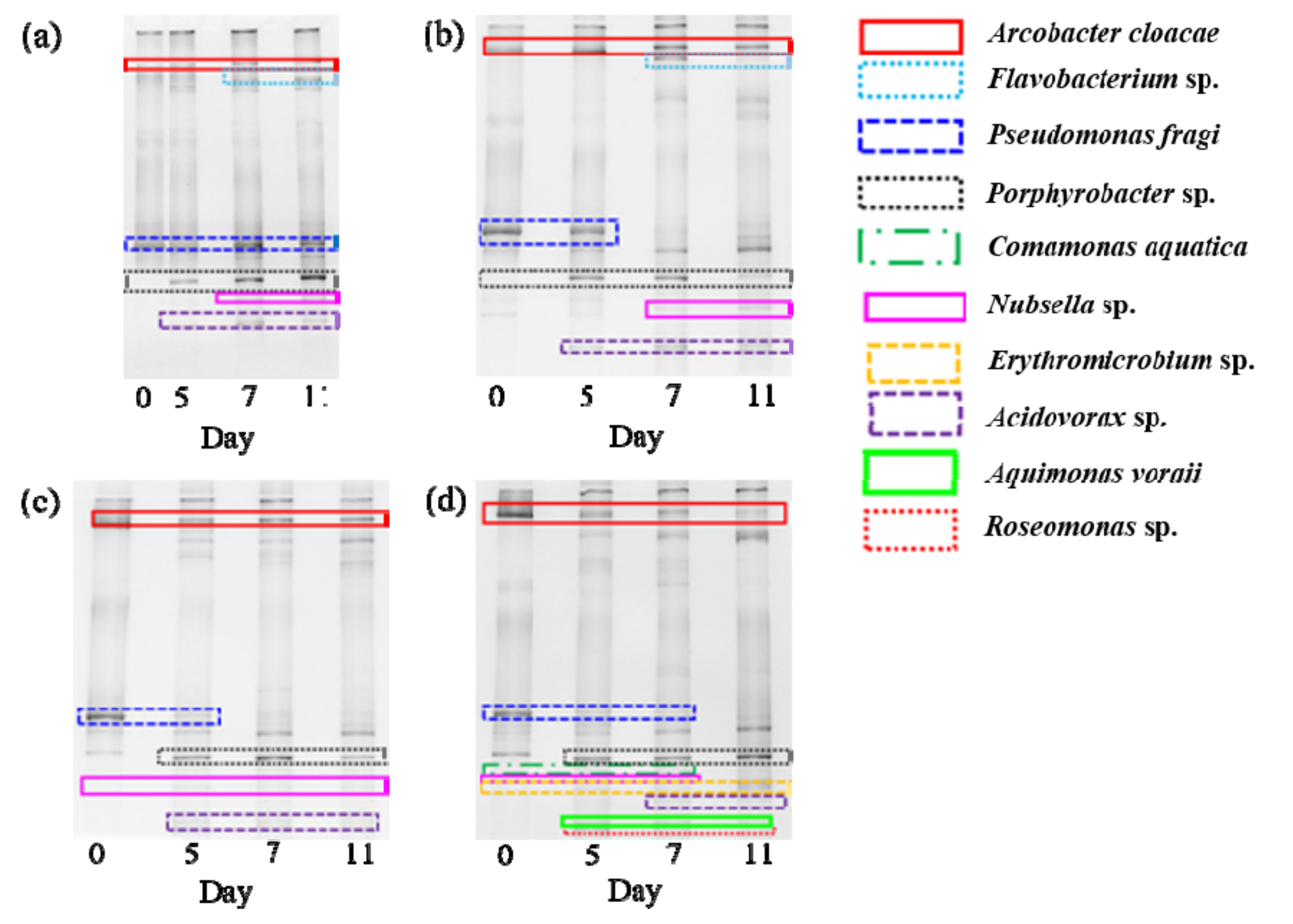 Energies 13 04895 g004