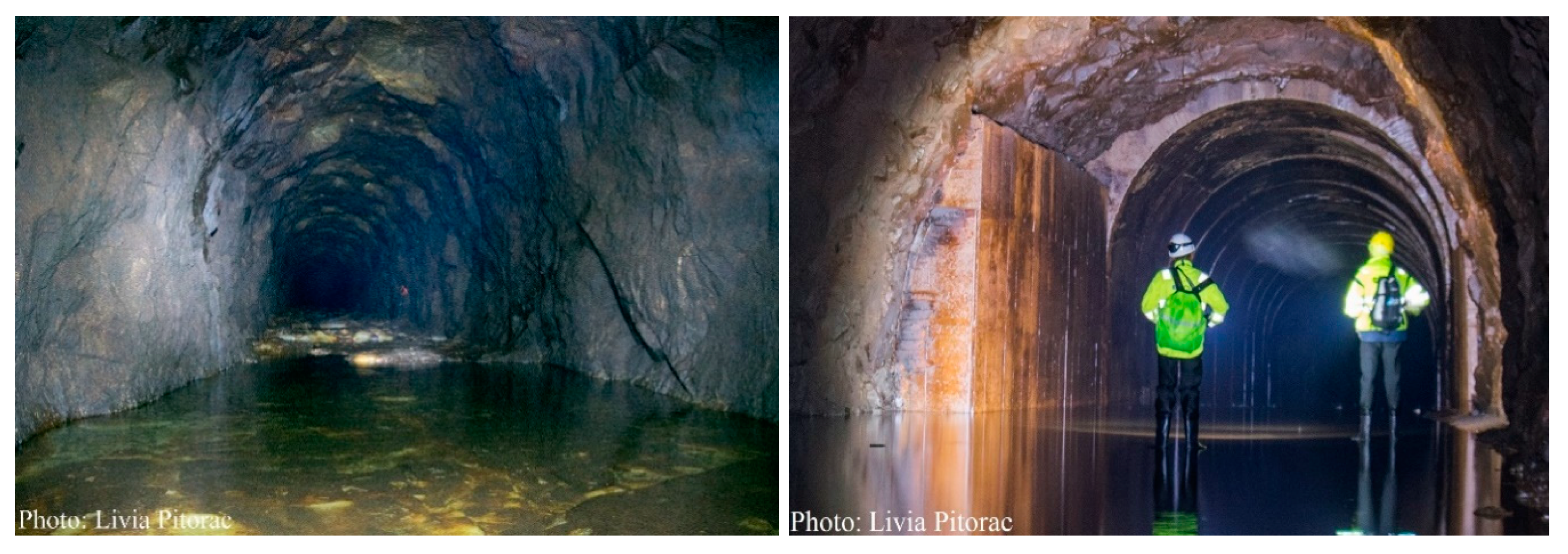 Energies 13 04918 g004