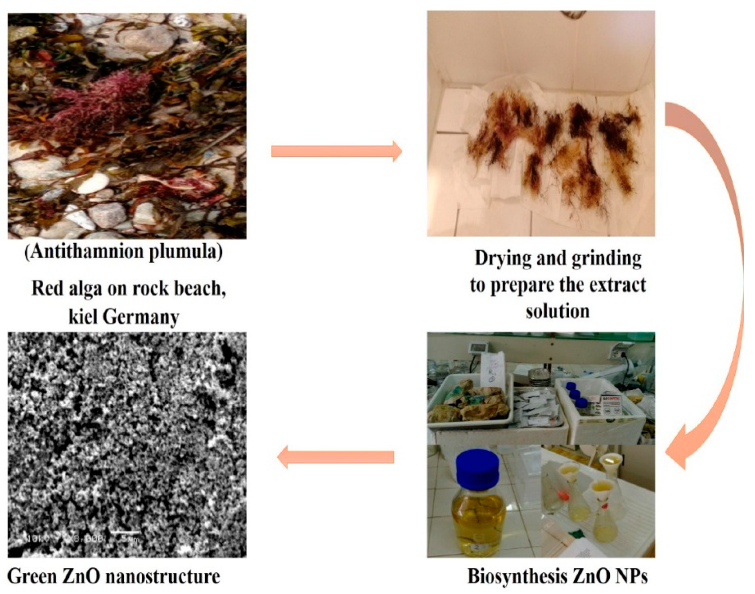 Energies 13 05001 g002 Energies 13 05001 g002