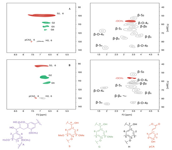 Coproduction of Furfural, Phenolated Lignin and Fermentable