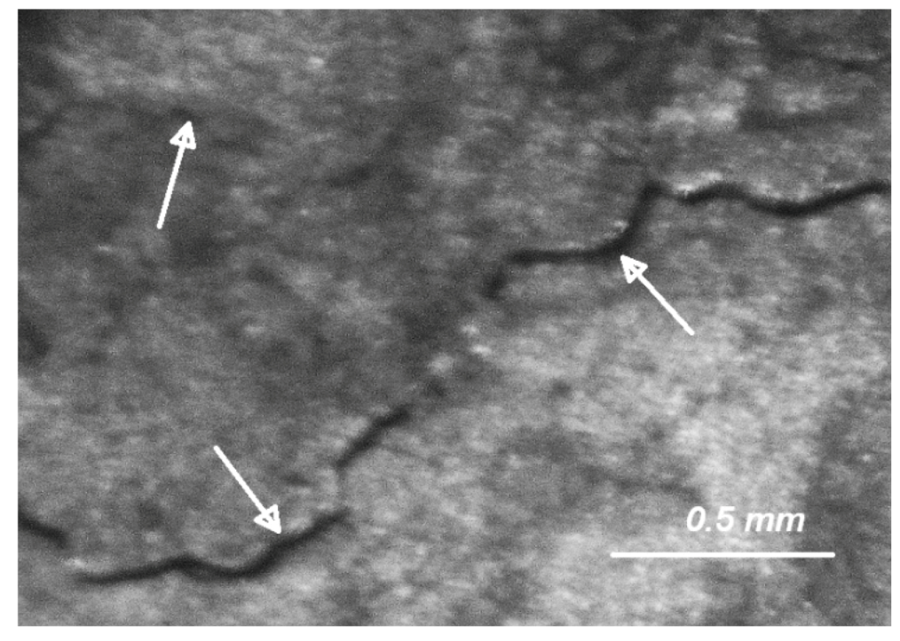 Energies 13 05372 g014