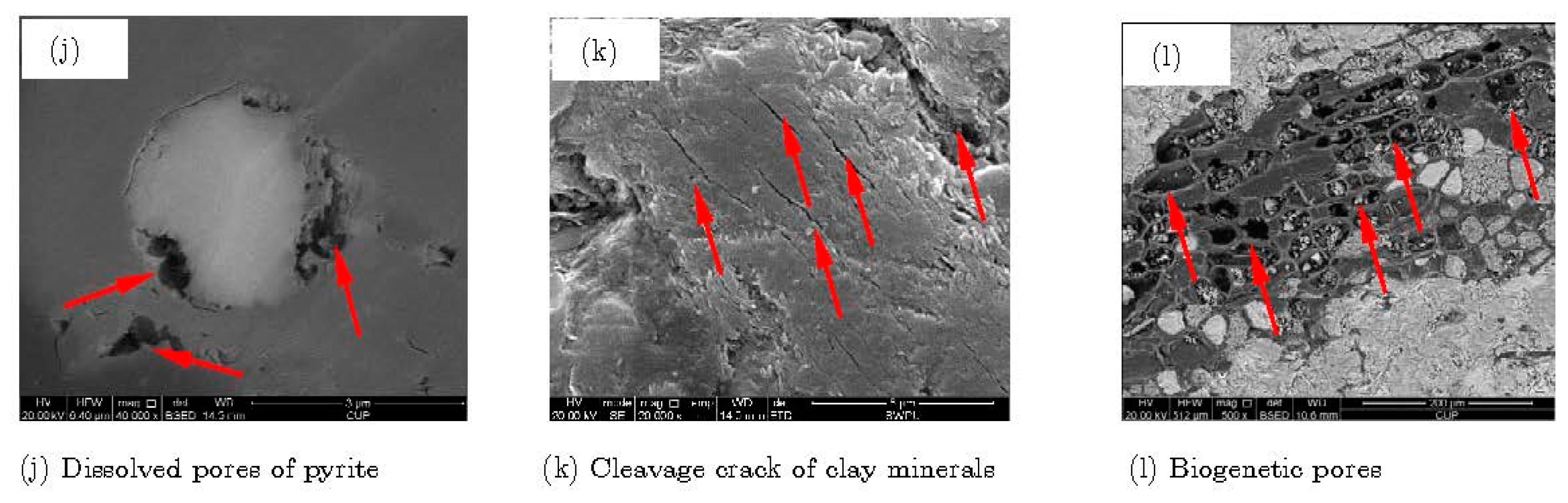 Energies 13 05427 g008b Energies 13 05427 g008b