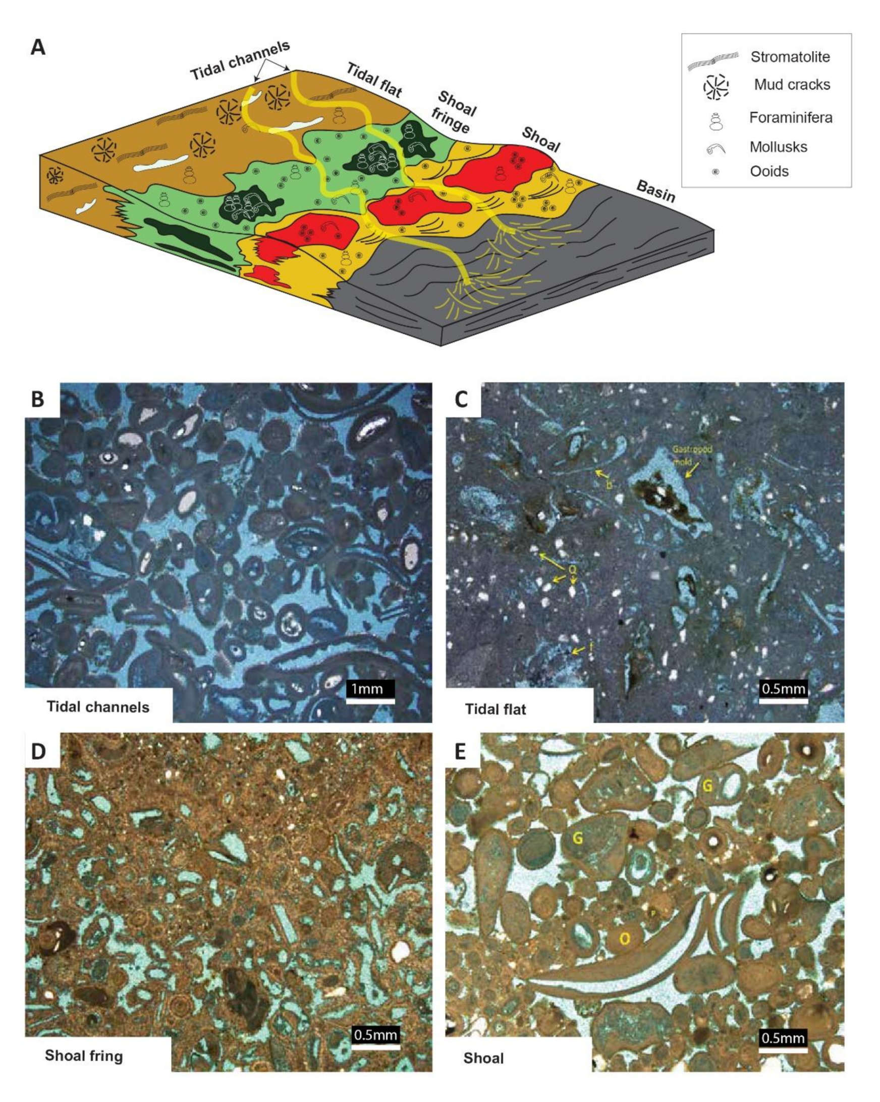 Energies 13 05557 g004 550