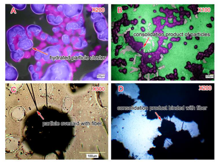 Energies 13 05597 g004 Energies 13 05597 g004