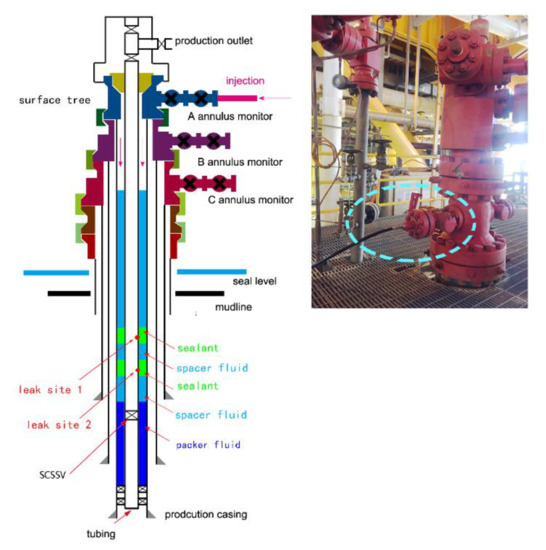 Systematic Experimental Investigation on In-Situ Self Systematic Experimental Investigation on In-Situ Self