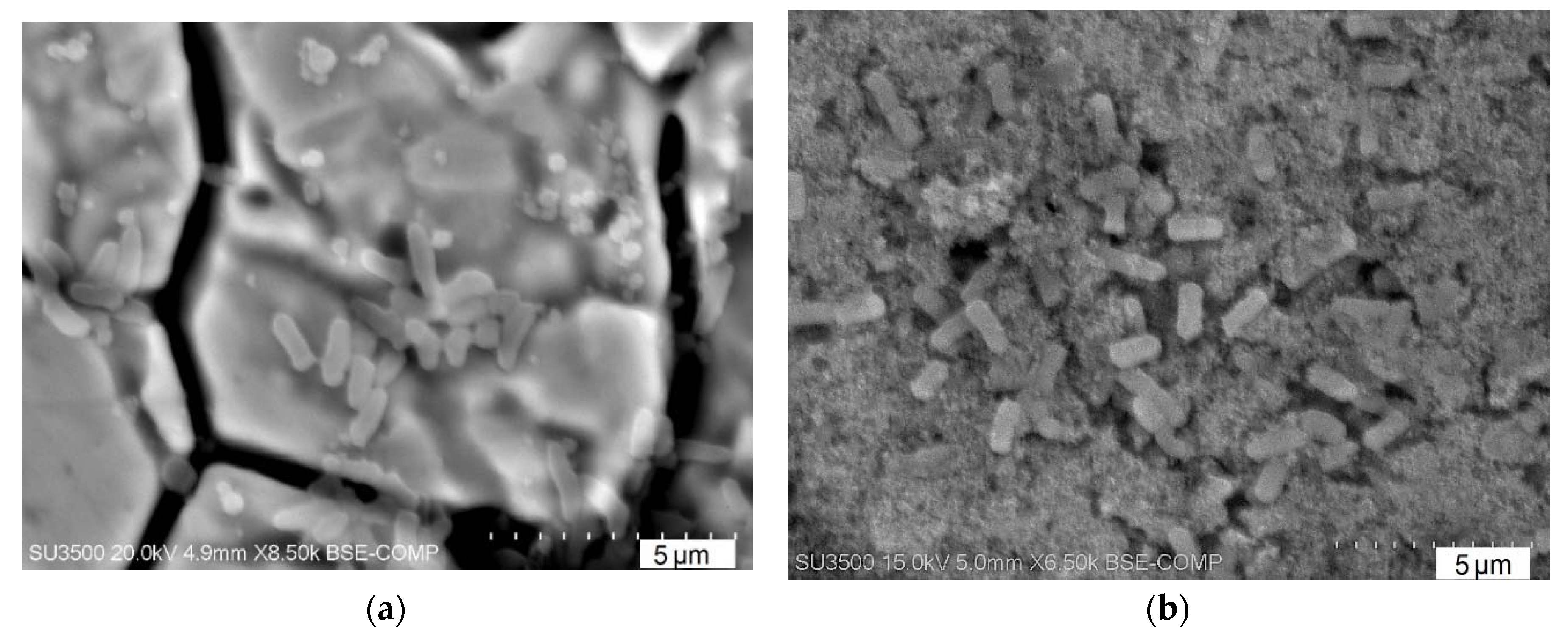 Energies 13 05803 g009 Energies 13 05803 g009