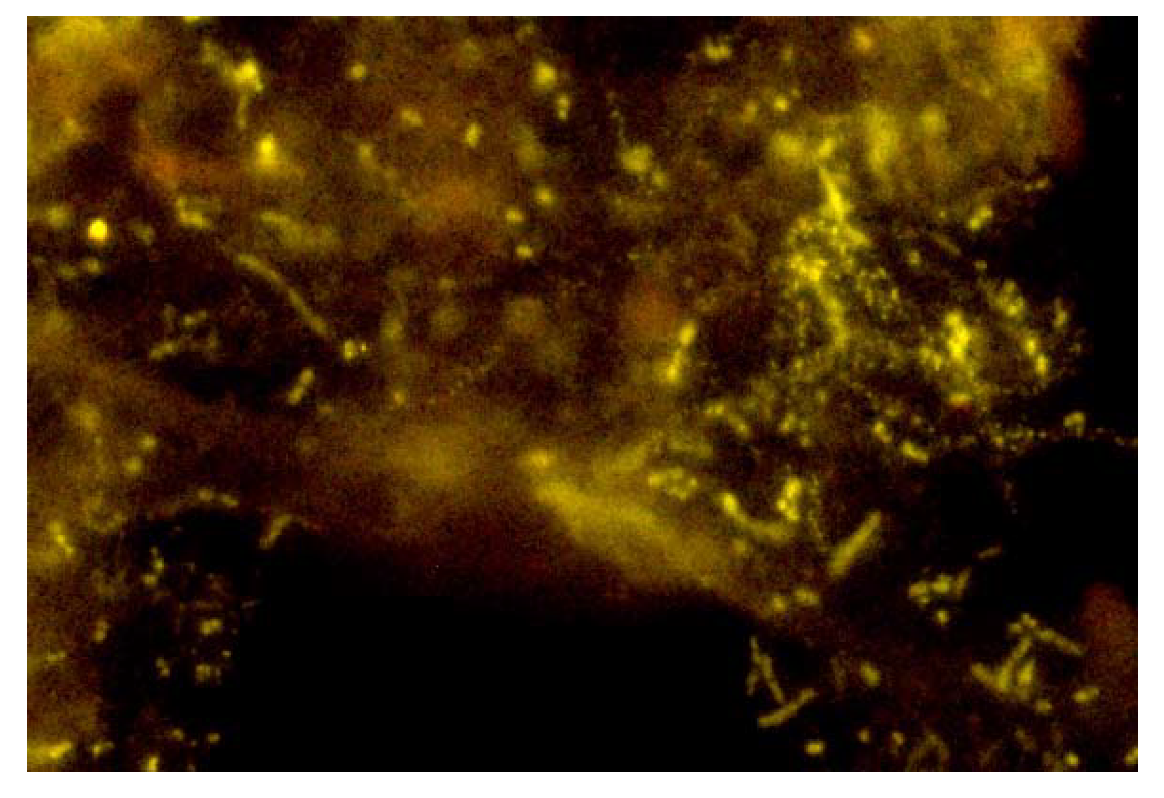 Energies 13 05803 g010 Energies 13 05803 g010