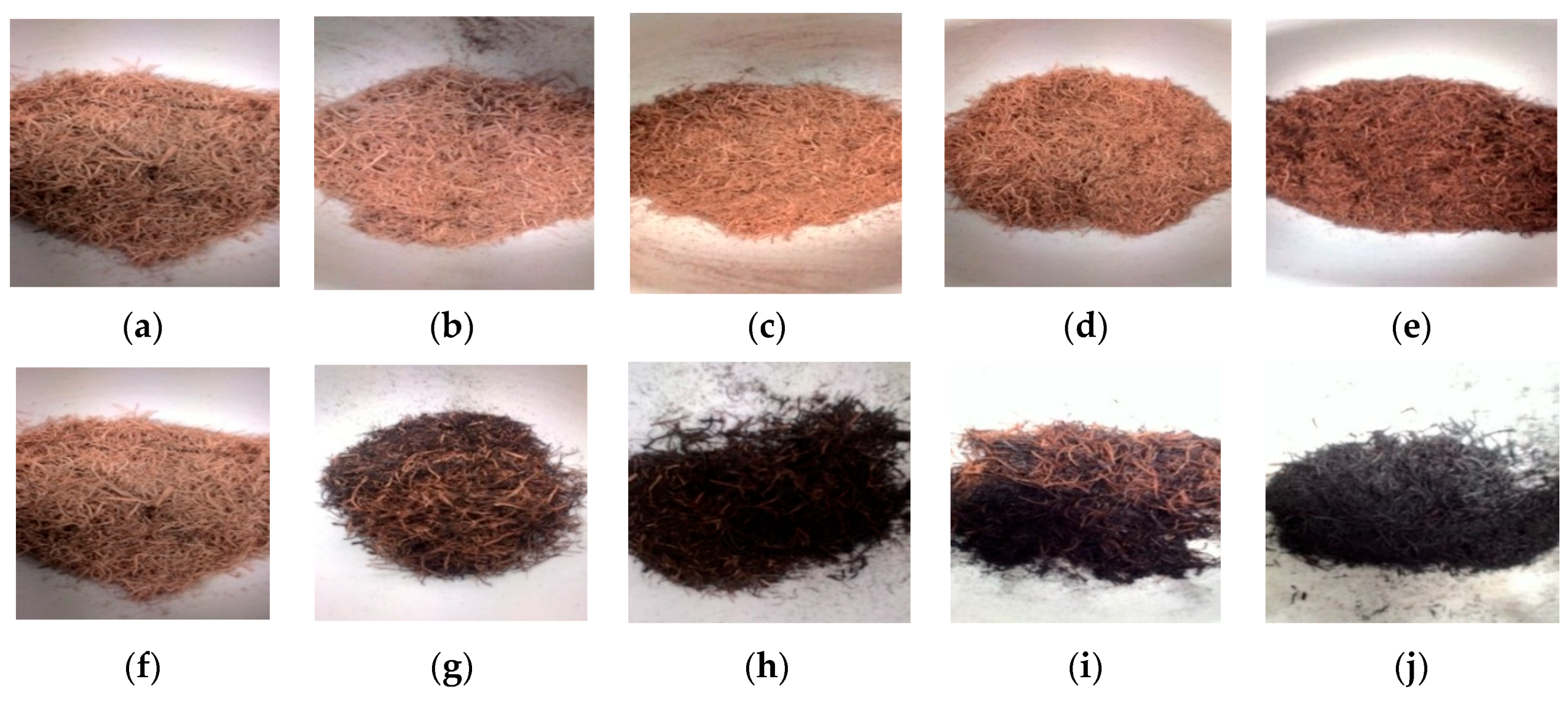 Energies 13 05966 g001