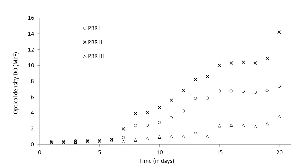Energies 13 05994 g006