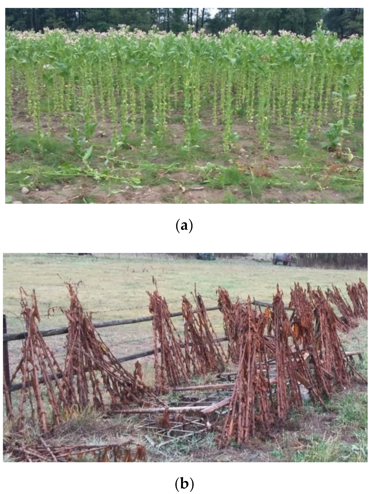 Energies 13 06002 g002a Energies 13 06002 g002a