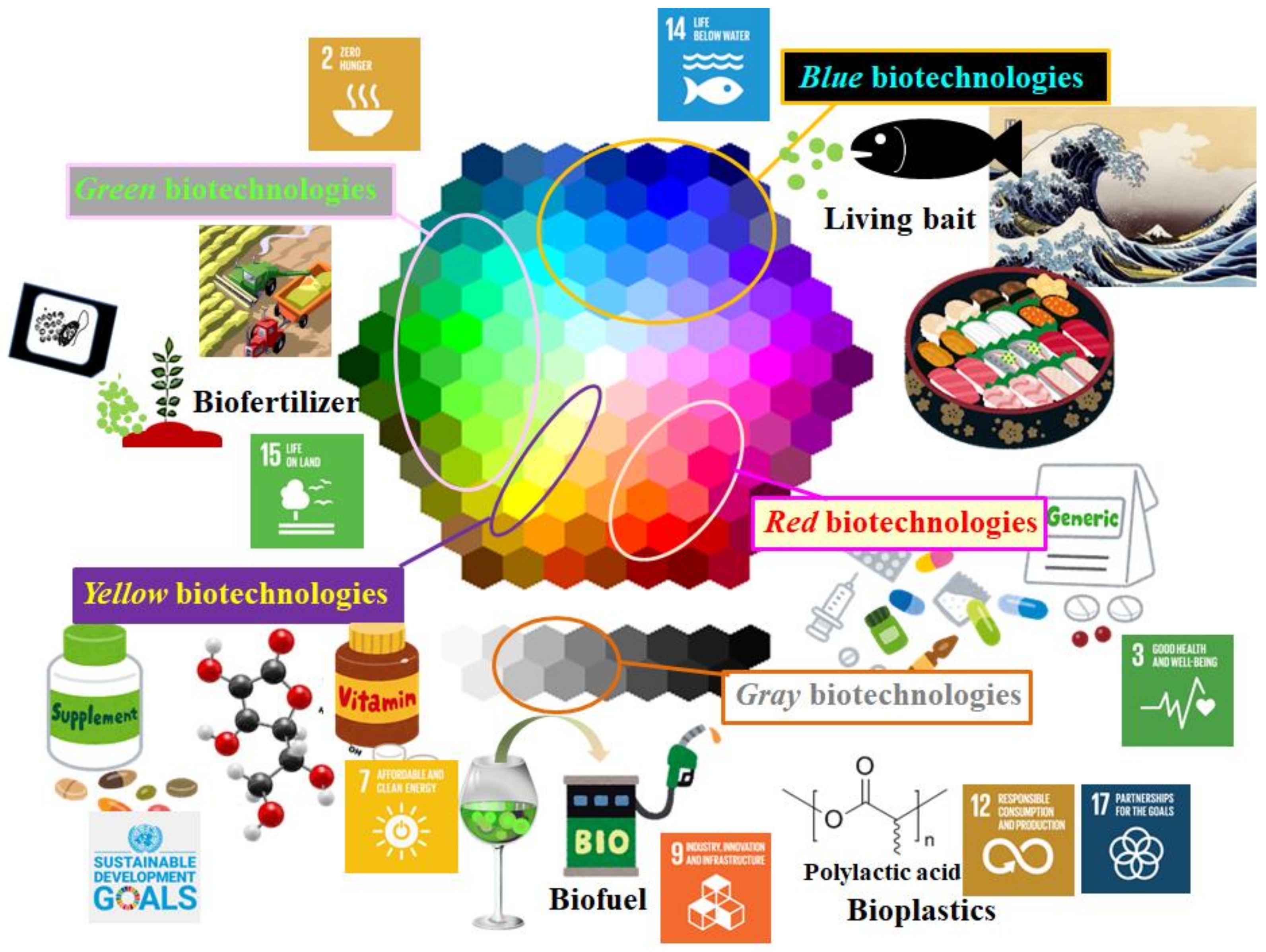 Energies 13 06019 g001