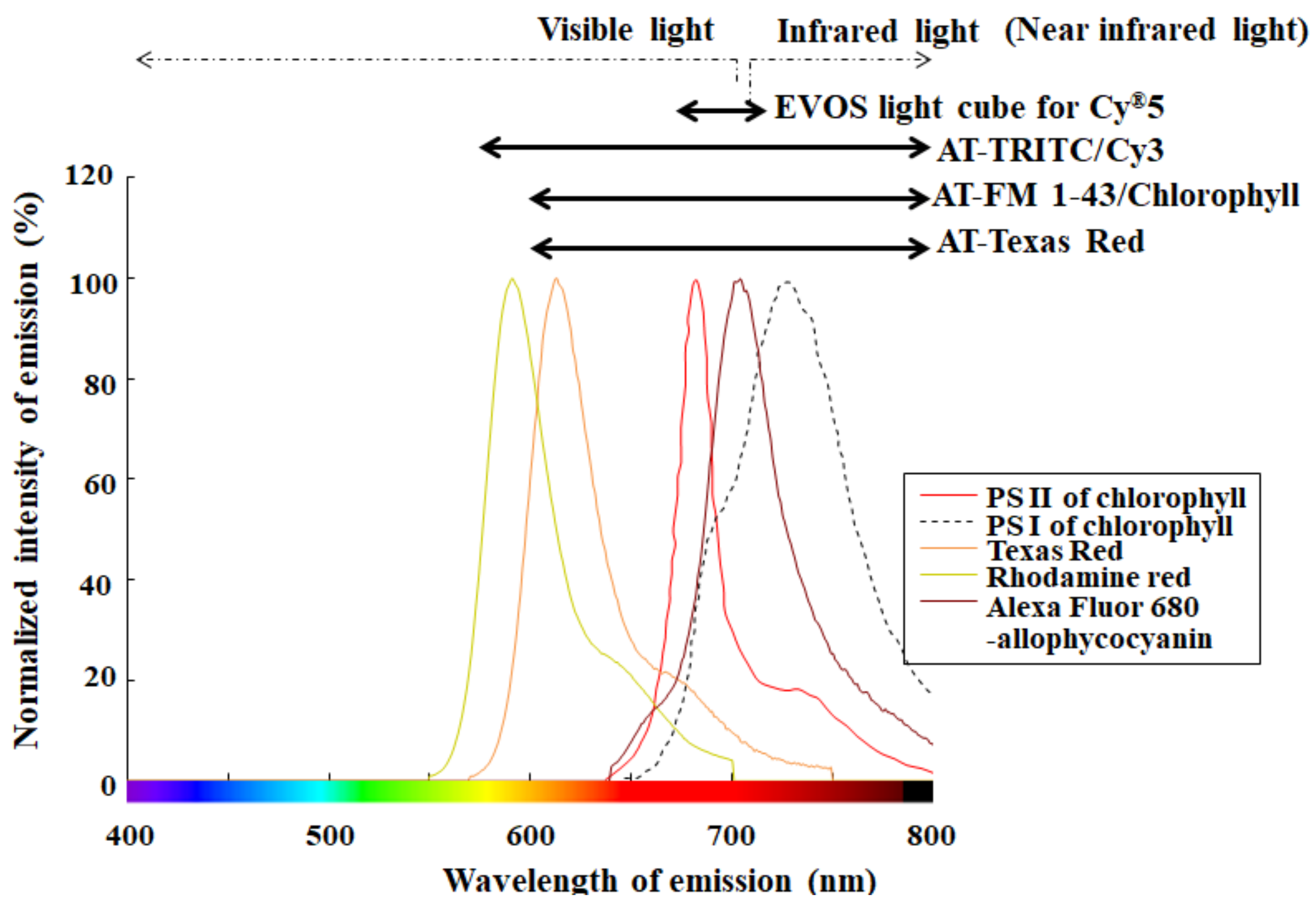 Energies 13 06019 g005
