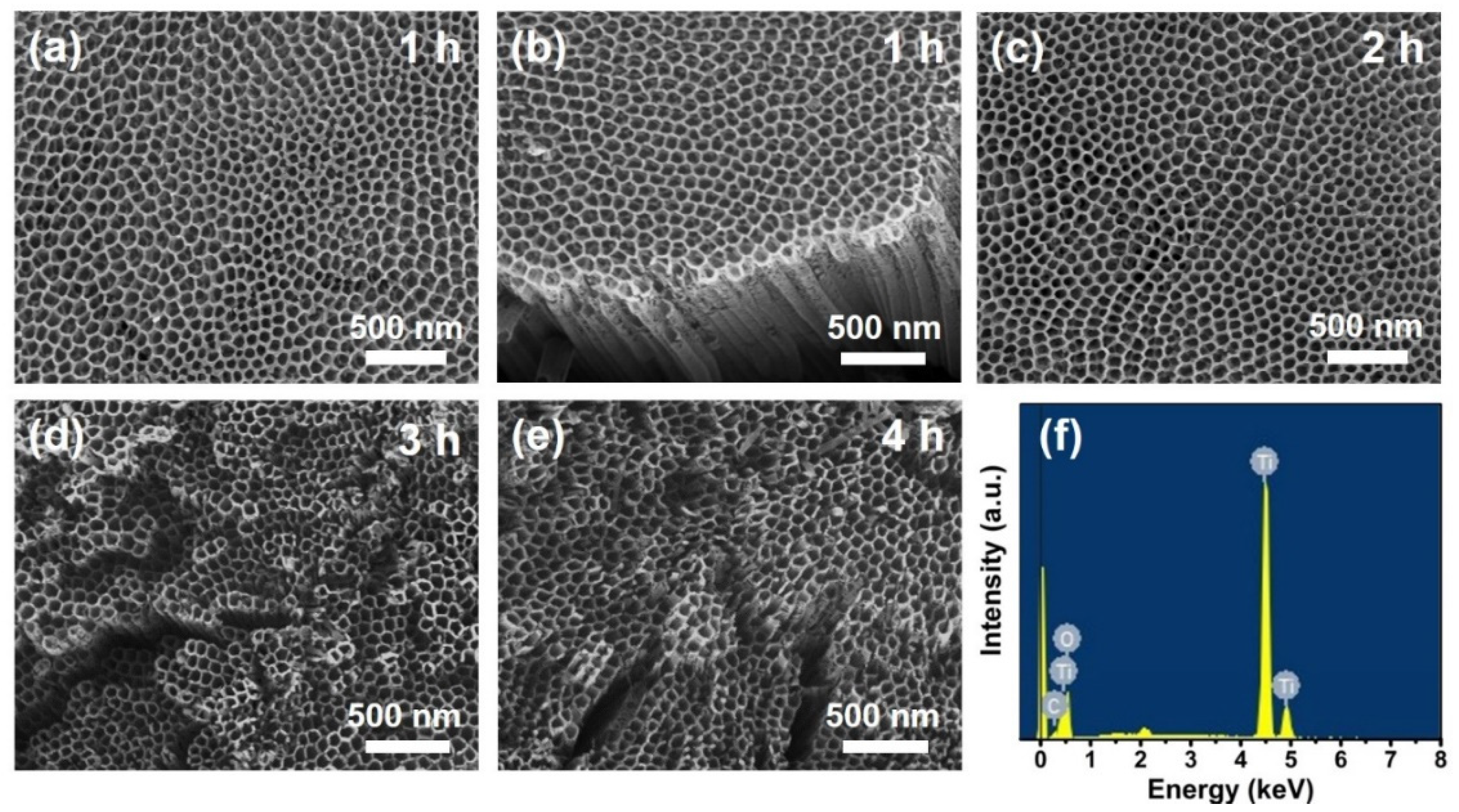Energies 13 06100 g001 Energies 13 06100 g001