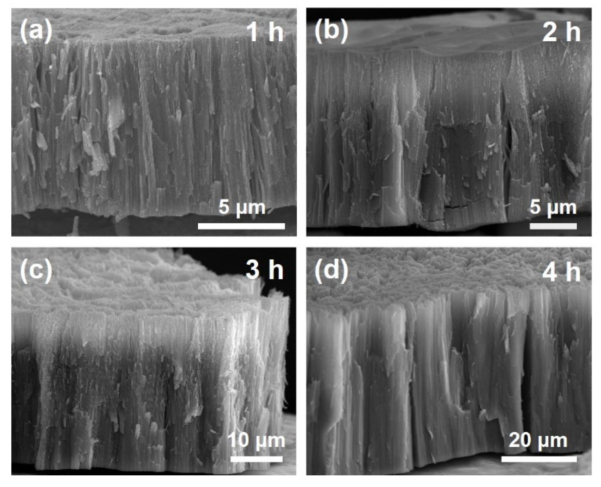 Energies 13 06100 g002 Energies 13 06100 g002