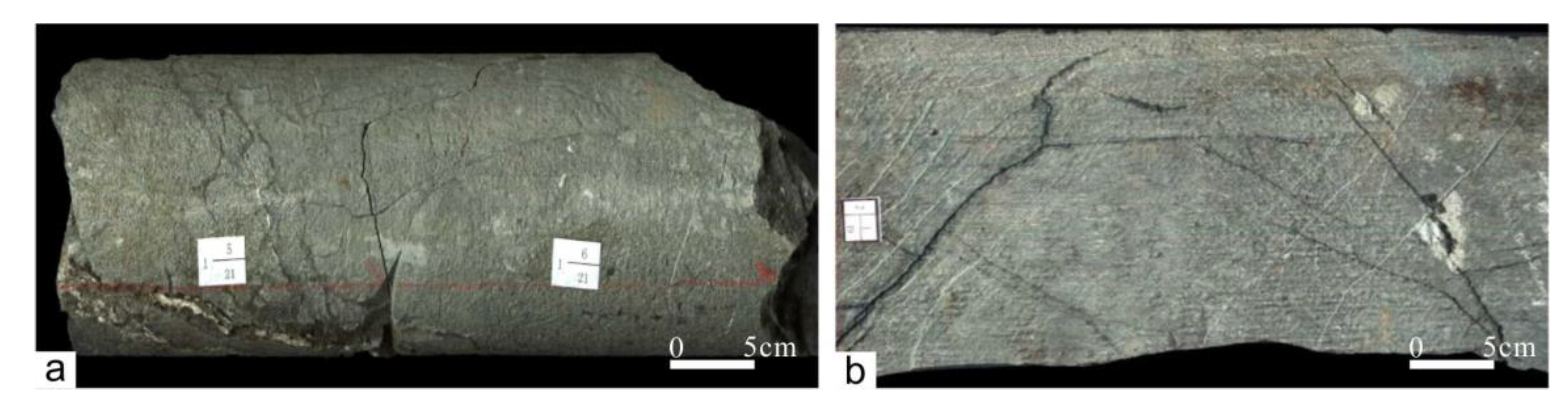 Energies 13 06114 g007 Energies 13 06114 g007