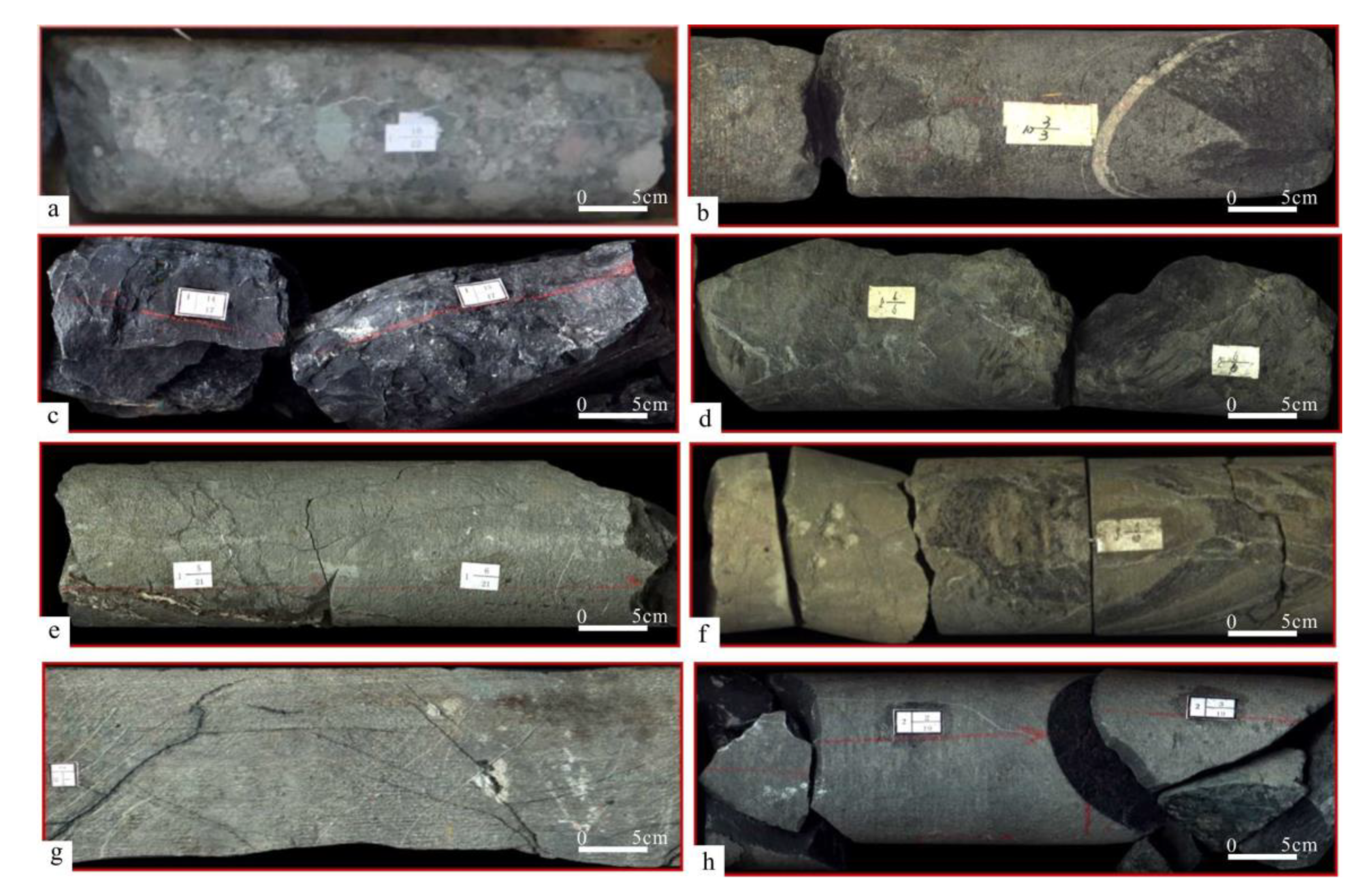 Energies 13 06114 g012 Energies 13 06114 g012