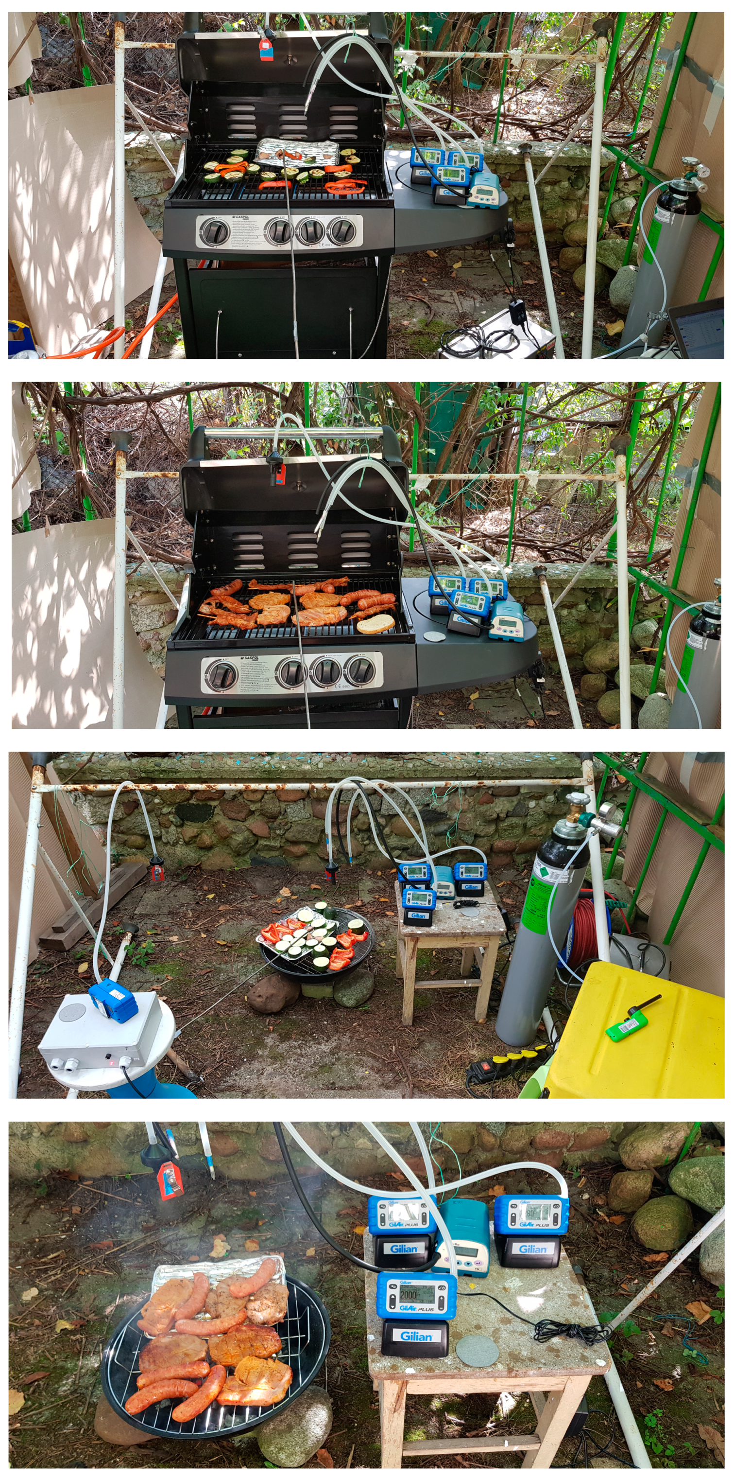 Energies 13 06245 g001