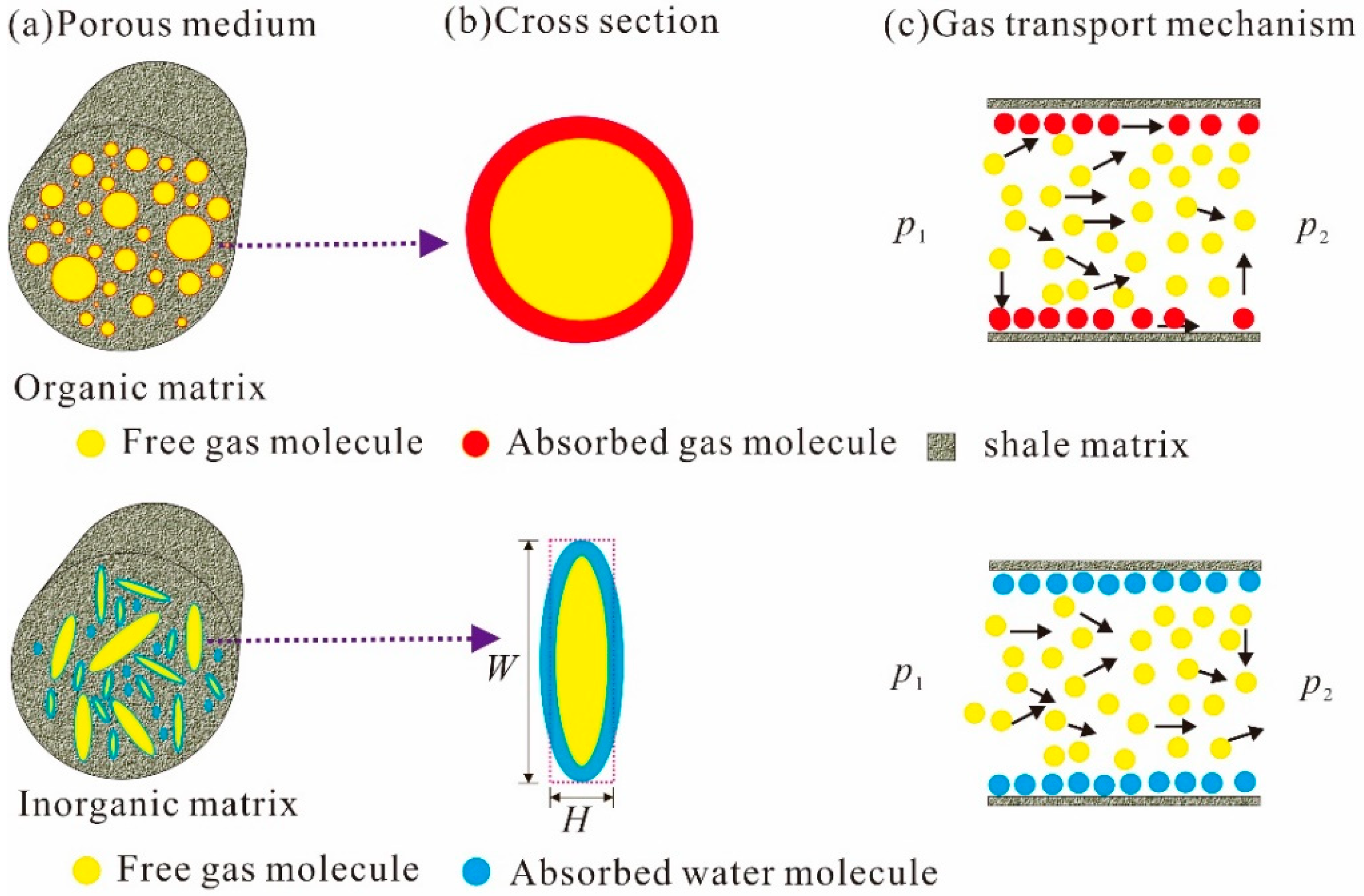Energies Free Full Text Apparent Permeability Model For Gas Transport In Multiscale Shale Matrix Coupling Multiple Mechanisms