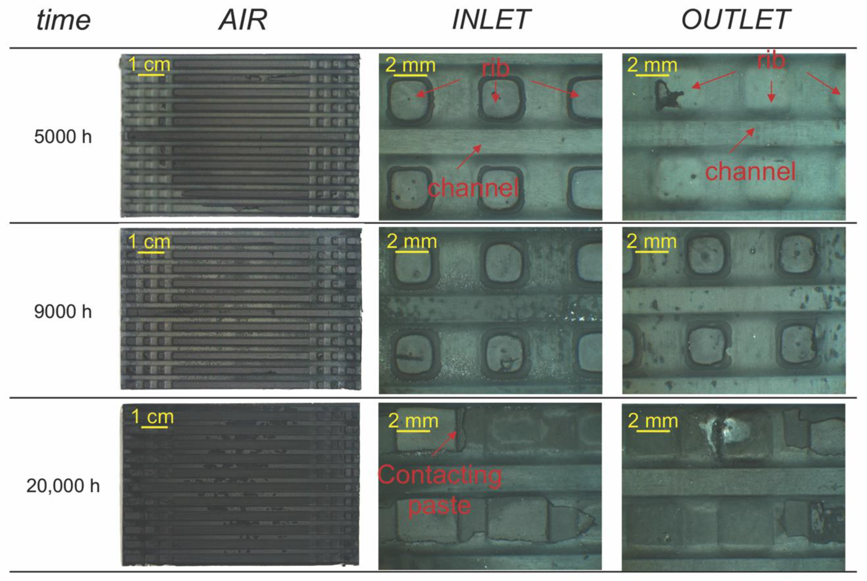 Energies 13 06487 g002 Energies 13 06487 g002