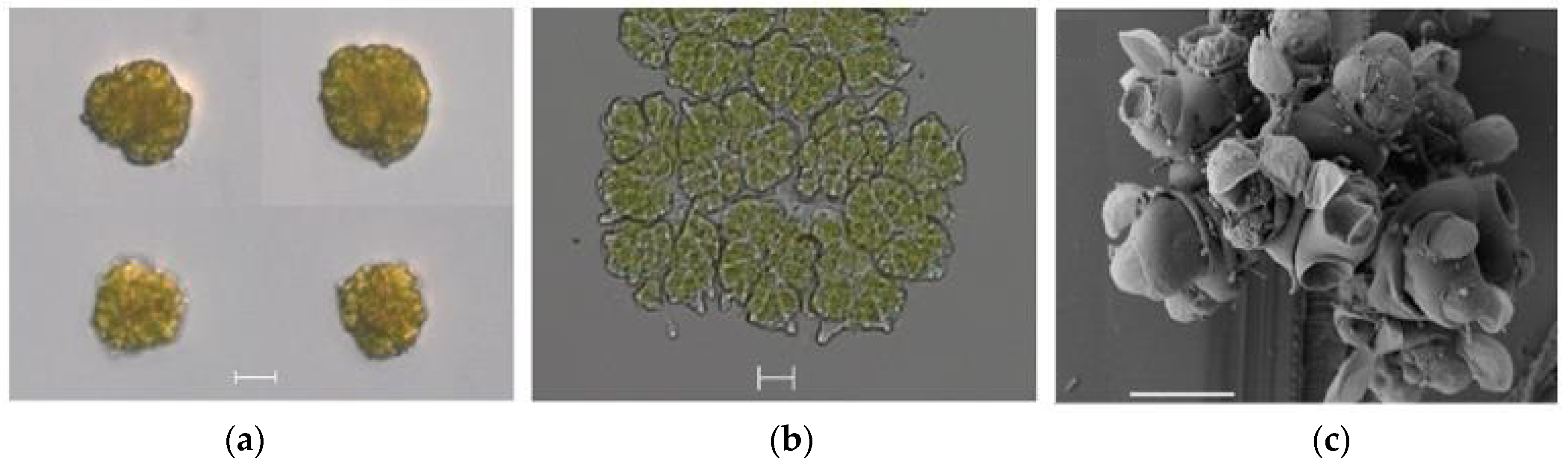 Energies 13 06644 g003