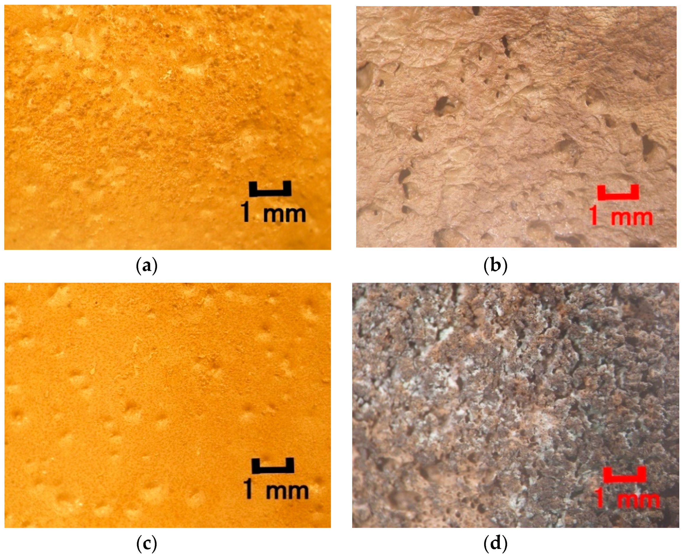 Energies 13 06658 g002 Energies 13 06658 g002