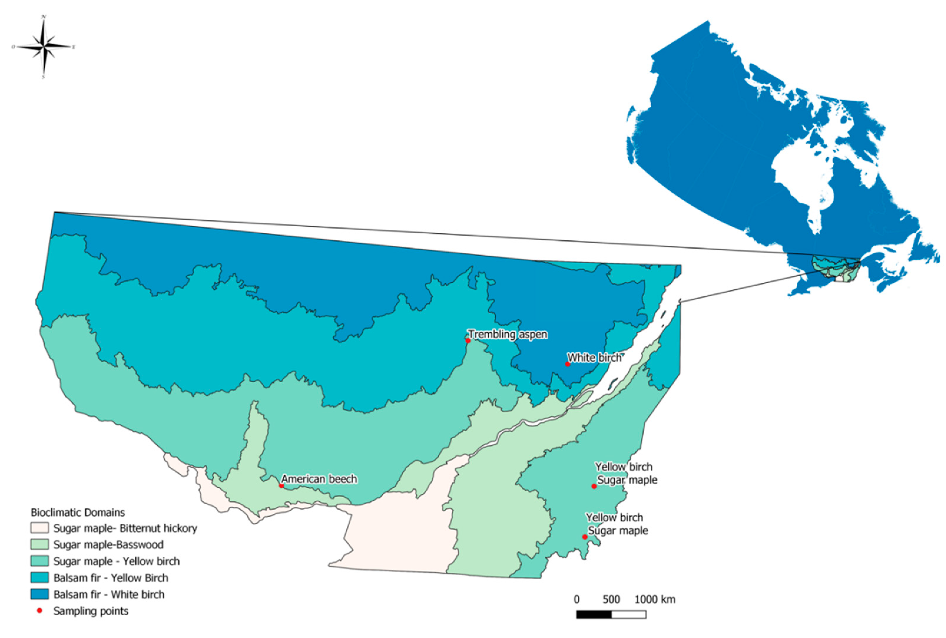 Energies 14 00093 g001 Energies 14 00093 g001