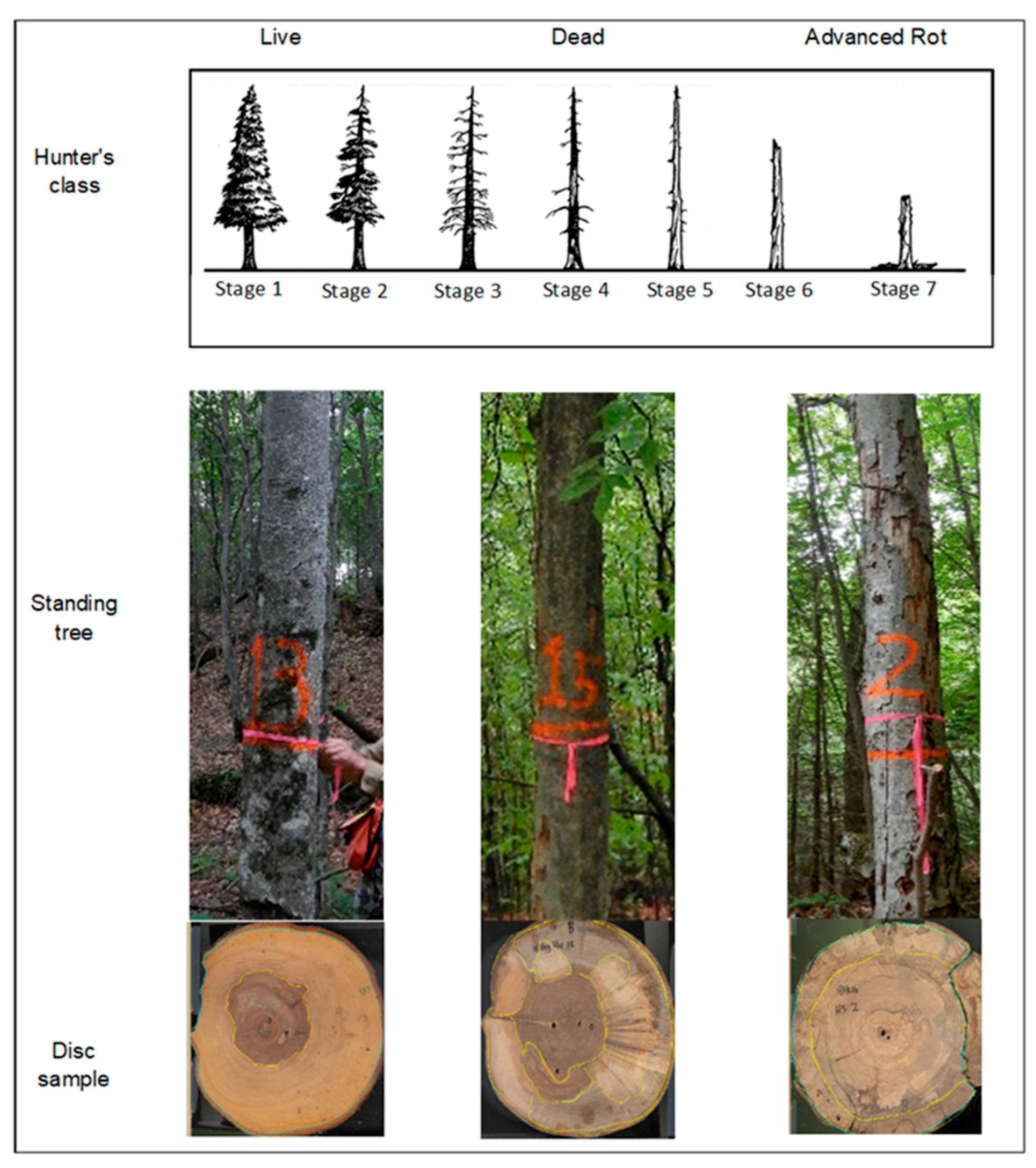 Energies 14 00093 g002 Energies 14 00093 g002