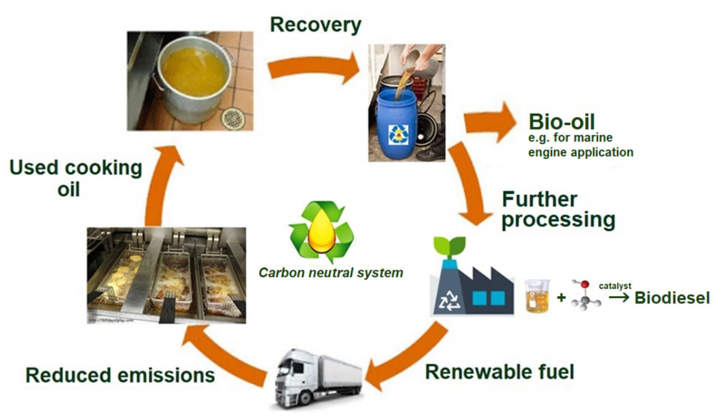 VEGETABLE OILS IN FOOD TECHNOLOGY: Composition