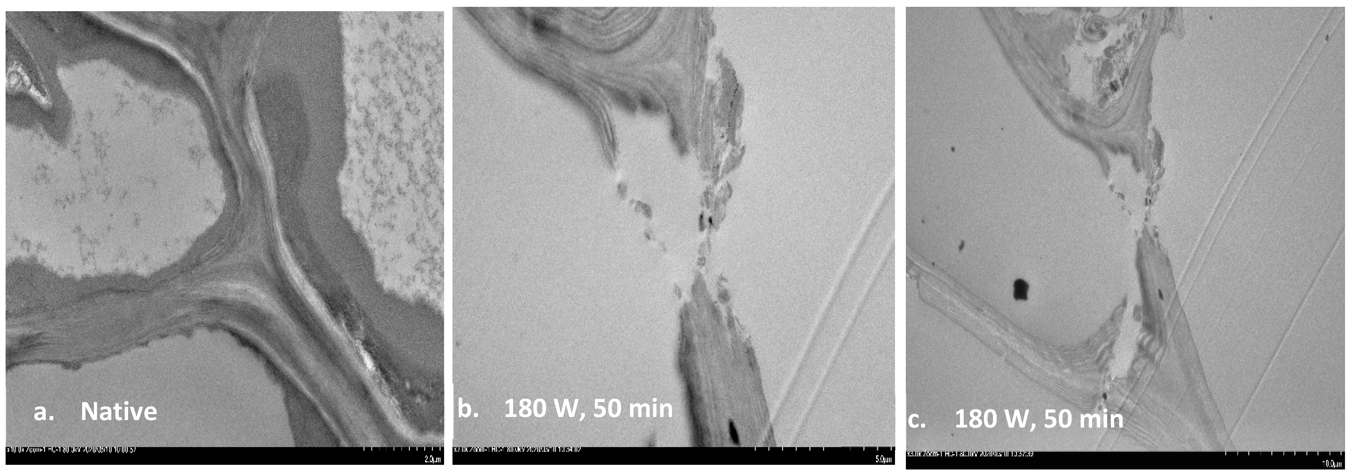 Energies 14 00263 g006