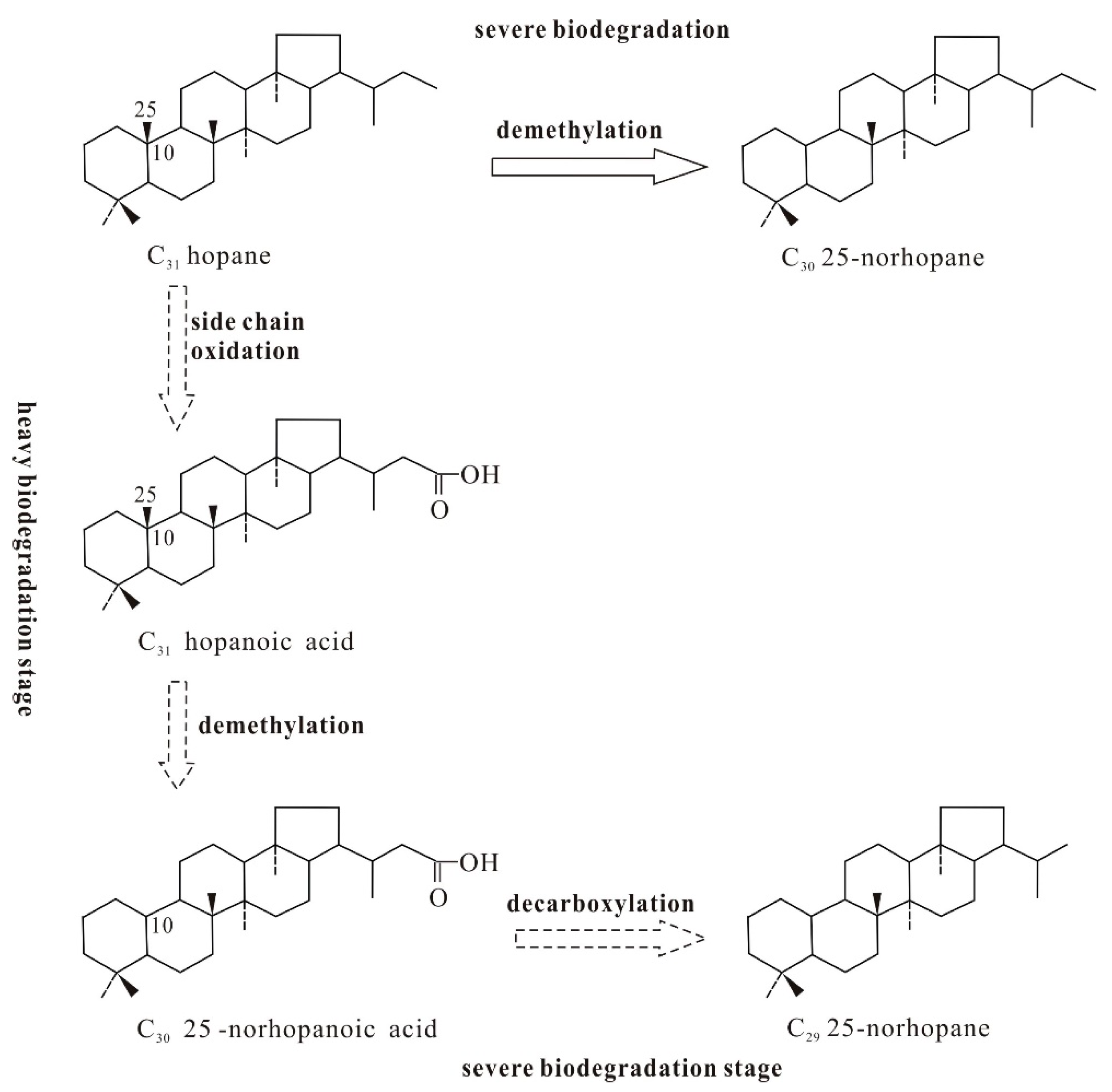 Energies 14 00300 g005