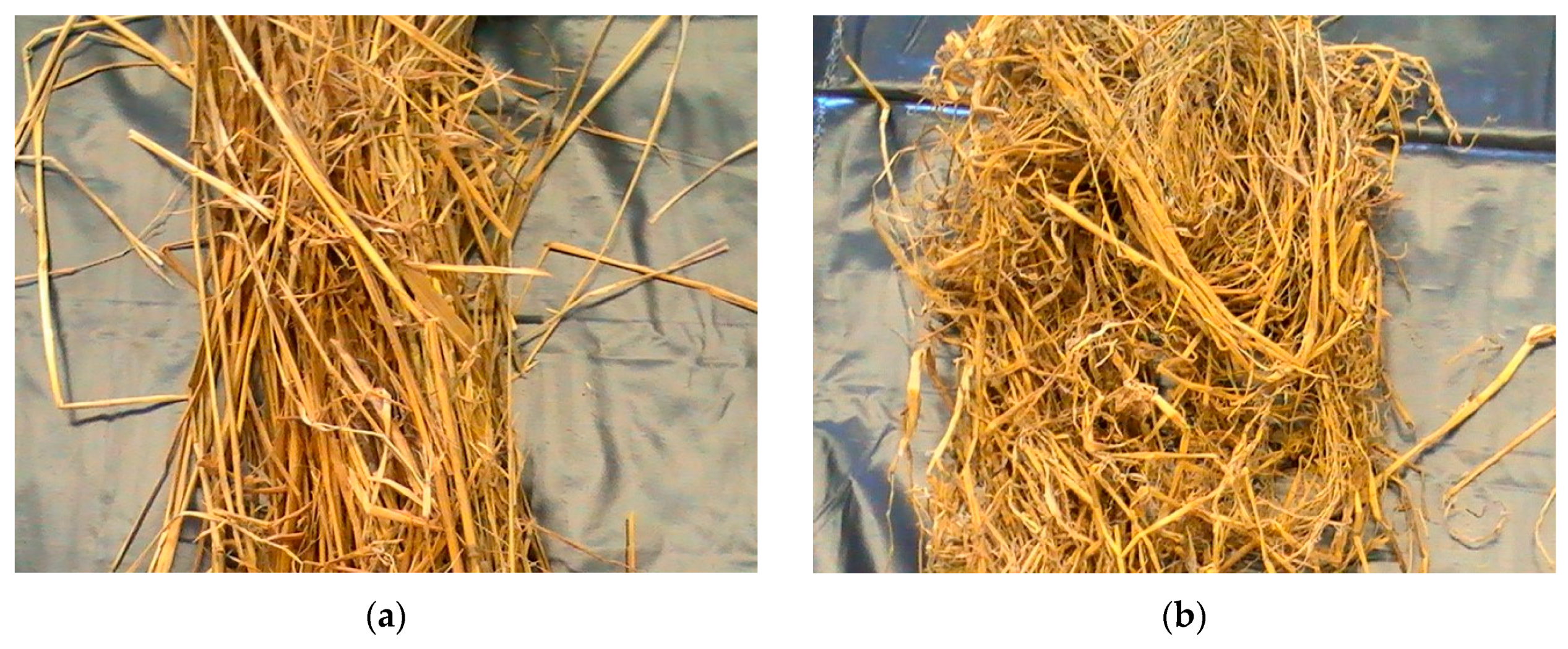 Energies 14 00343 g001