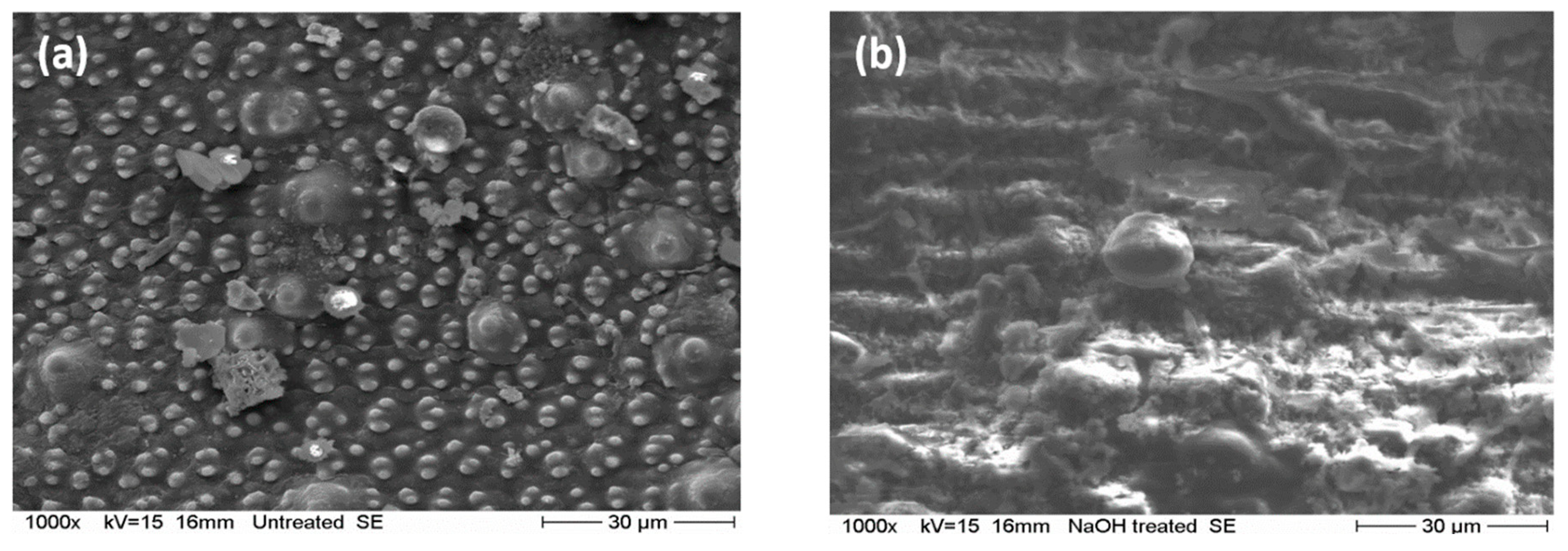 Energies 14 00343 g002