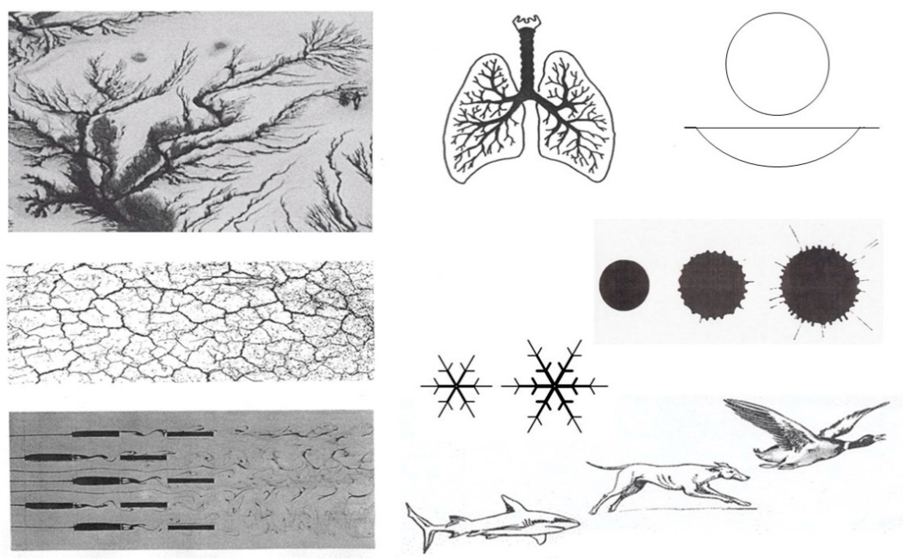 Energies 14 00408 g010