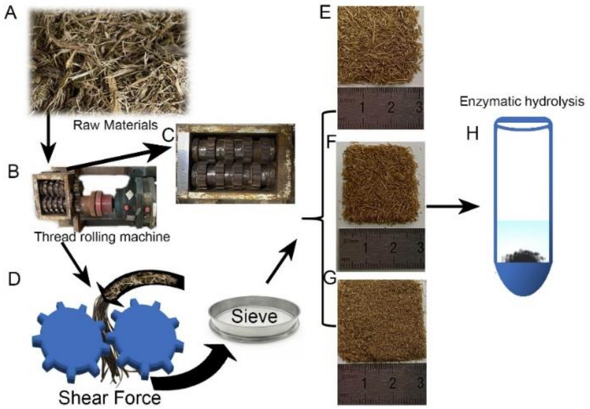Energies 14 00542 g001 Energies 14 00542 g001