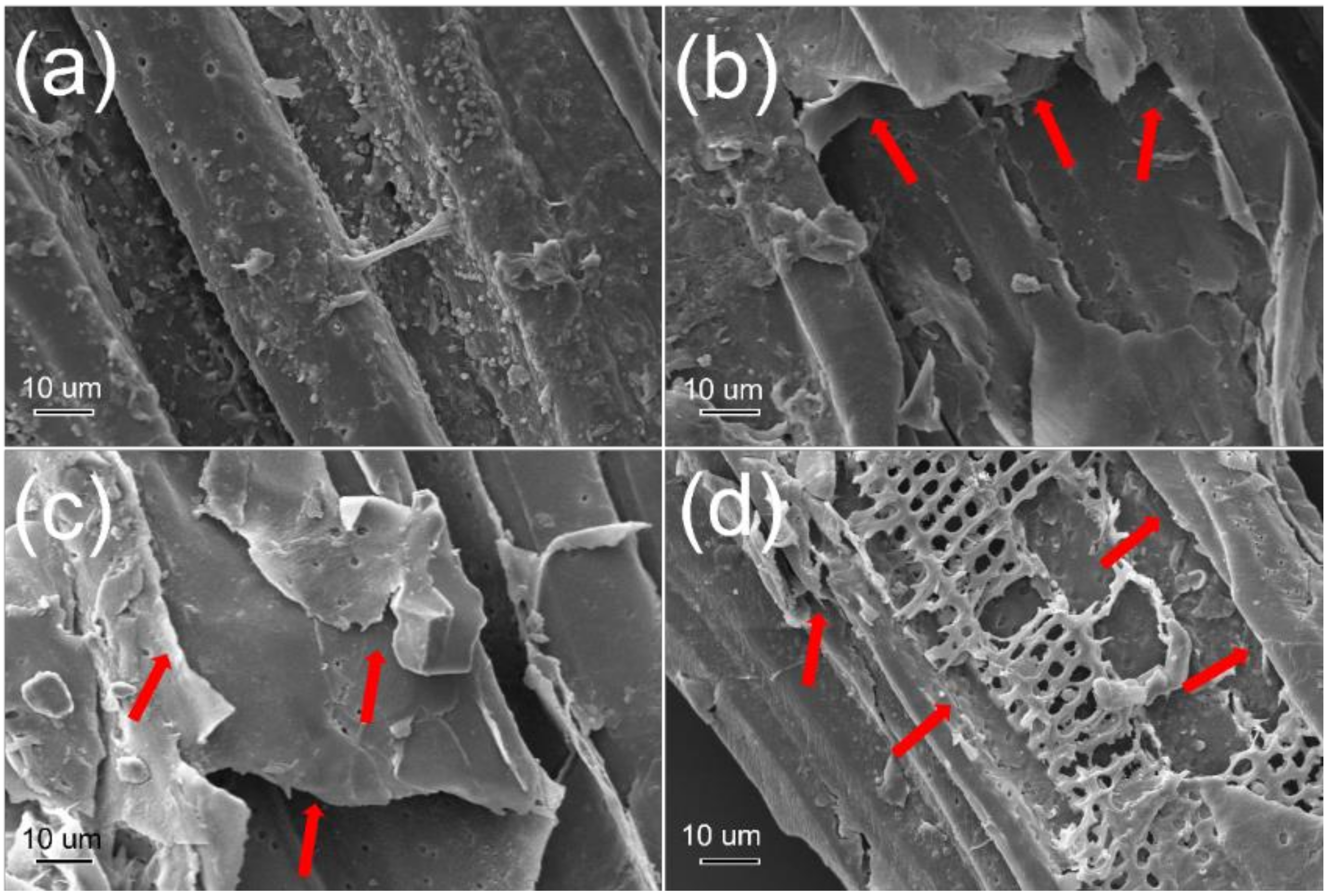 Energies 14 00542 g002 Energies 14 00542 g002