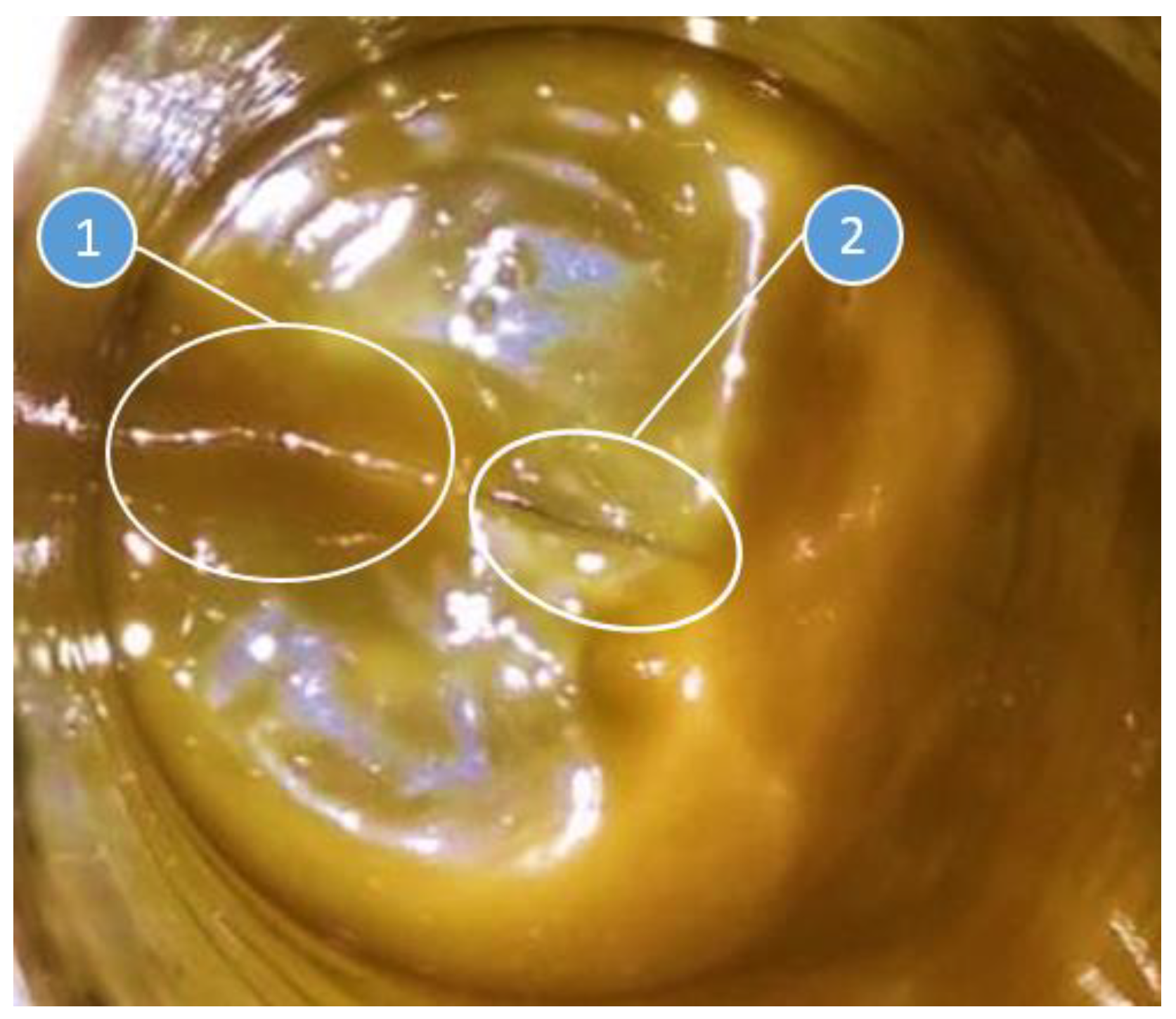 Energies 14 00654 g008 Energies 14 00654 g008