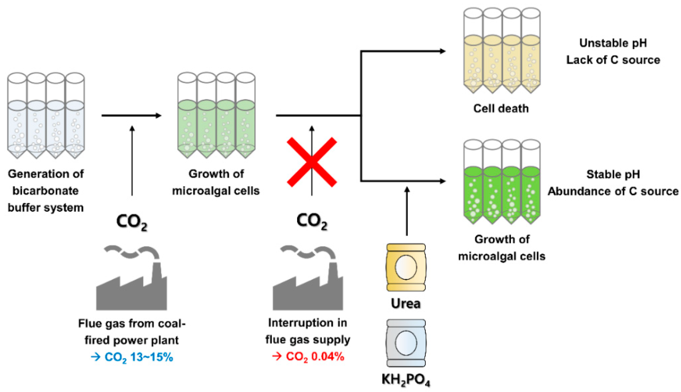 Energies 14 00778 g001 Energies 14 00778 g001