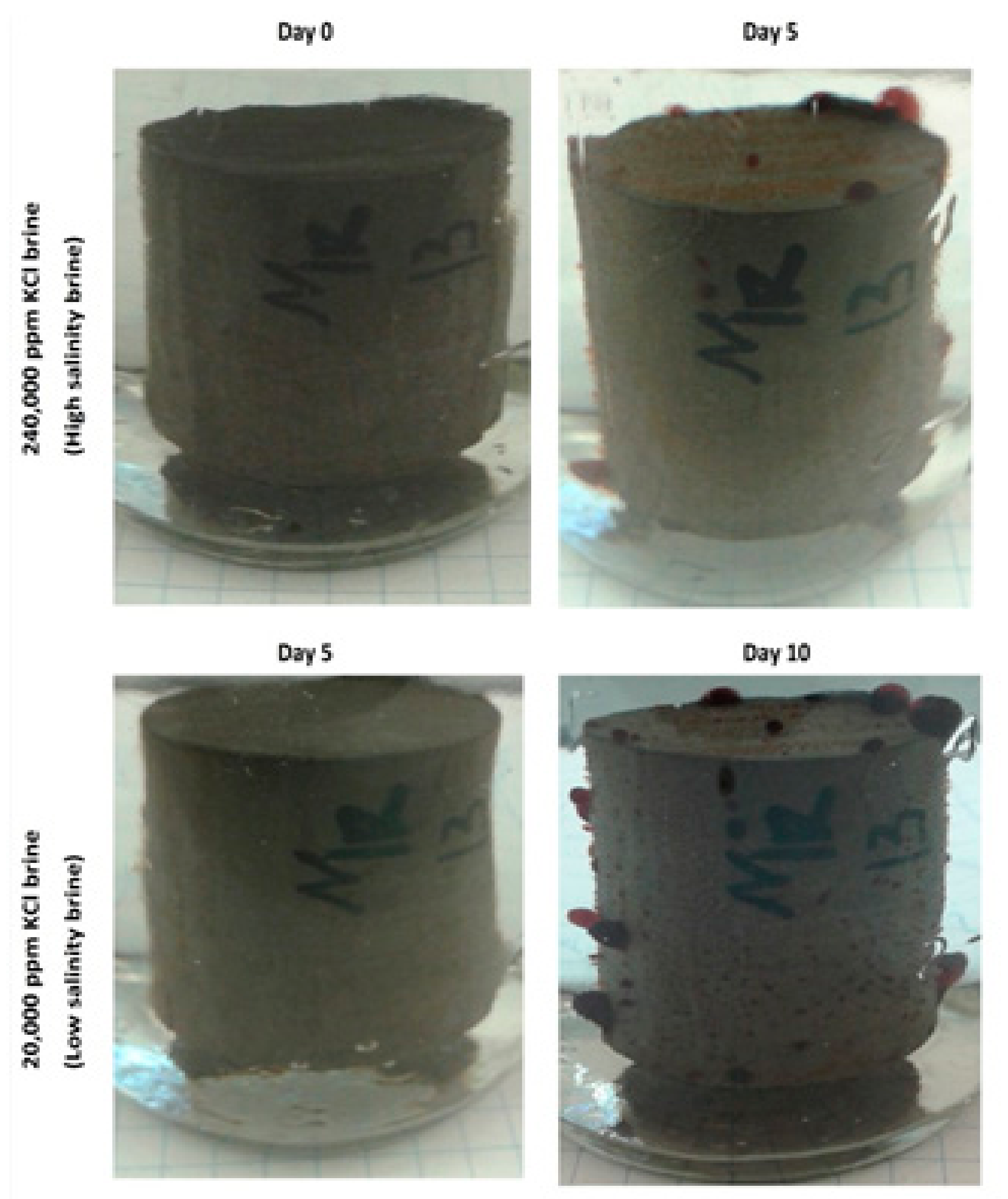 Energies 14 00835 g005