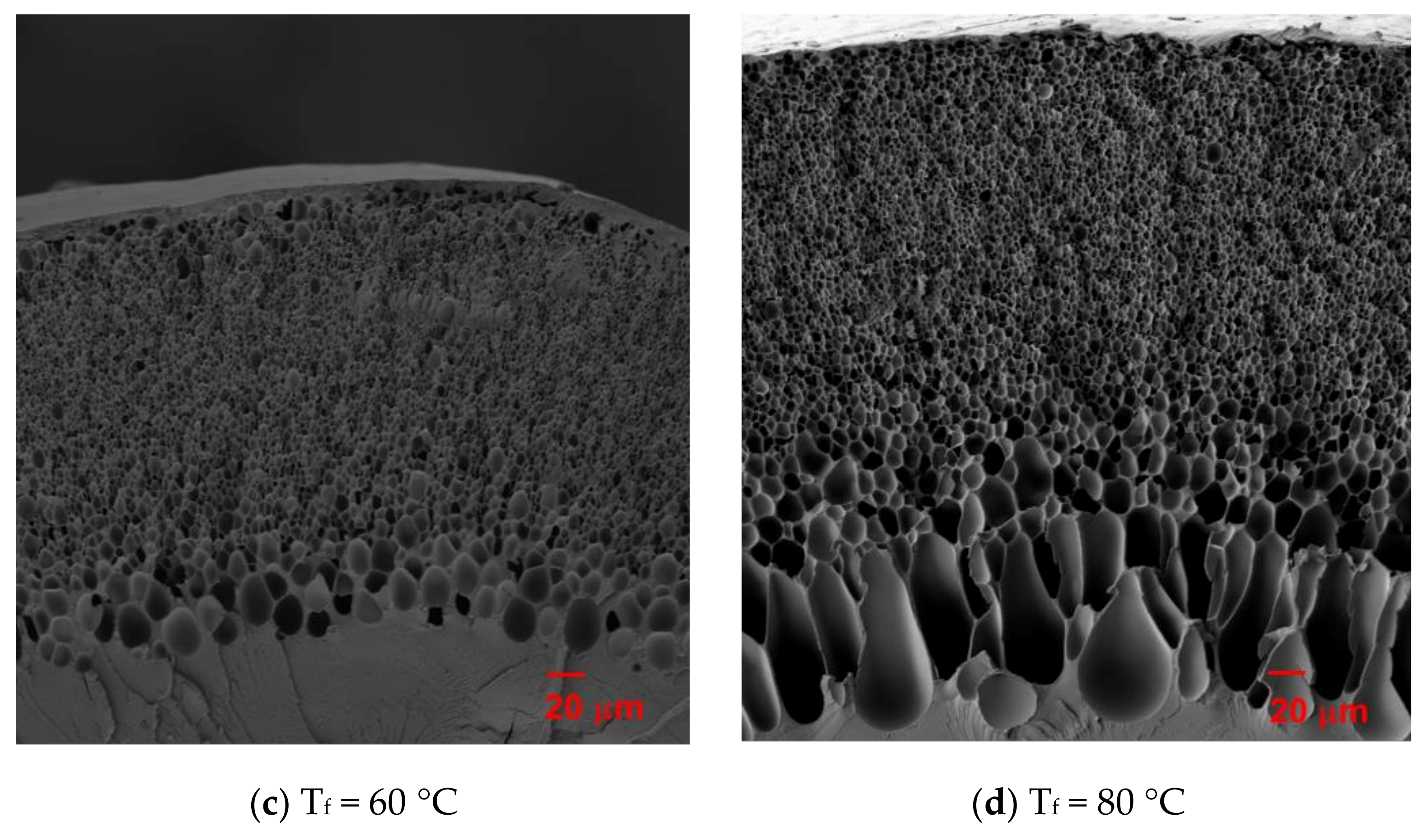 Energies 14 00957 g001b Energies 14 00957 g001b