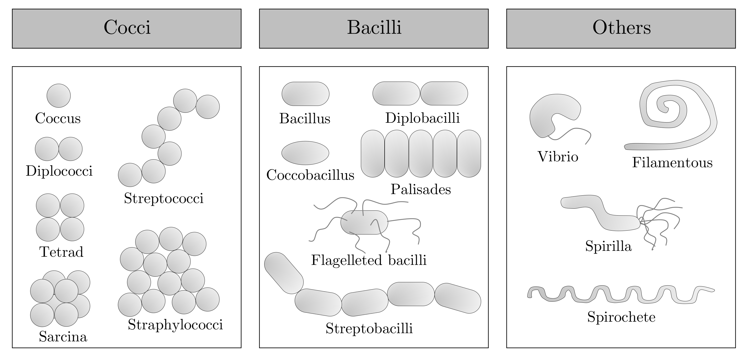 Energies 14 00967 g011 Energies 14 00967 g011