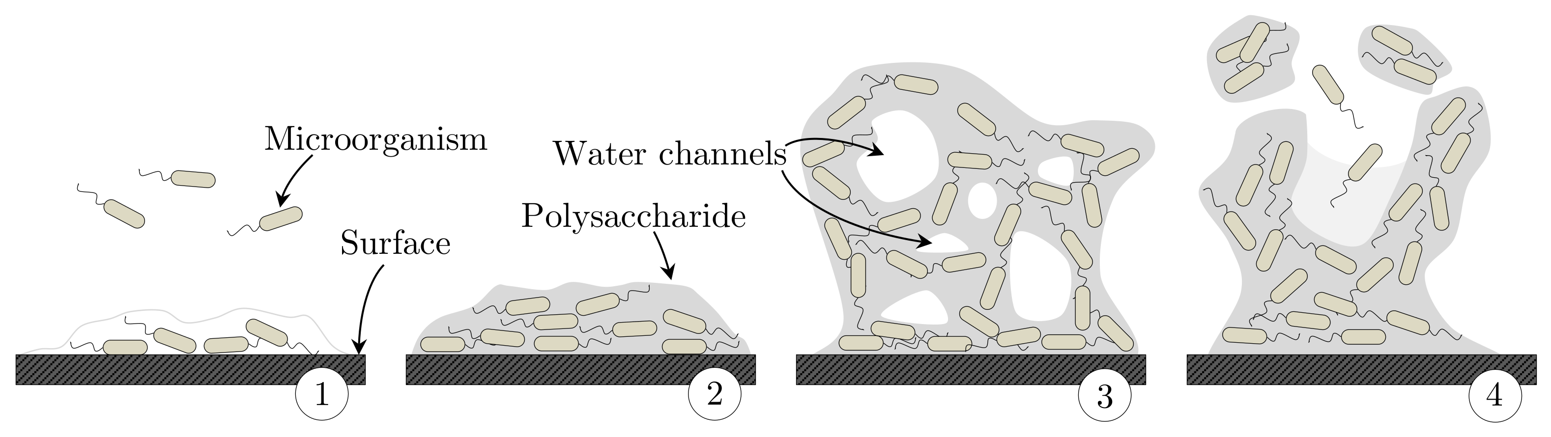 Energies 14 00967 g012 Energies 14 00967 g012
