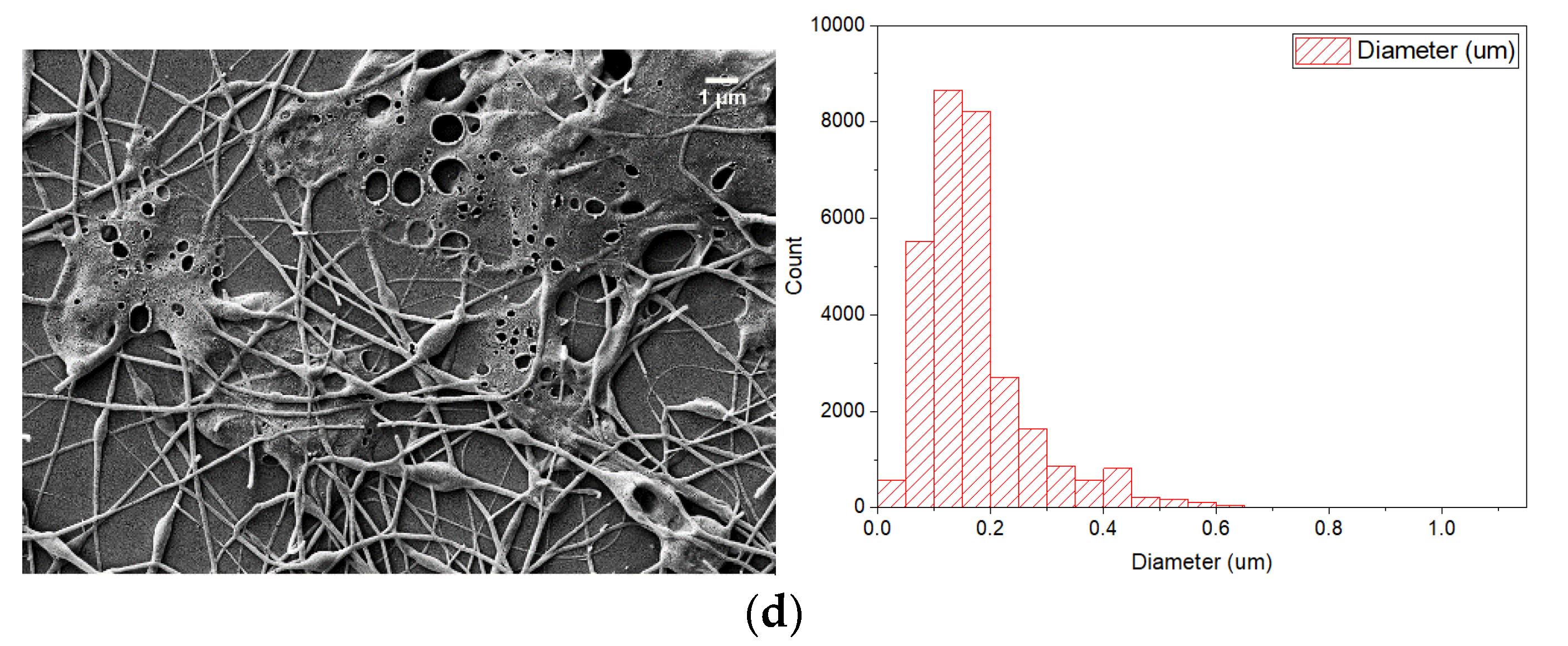 Energies 14 00995 g006b Energies 14 00995 g006b