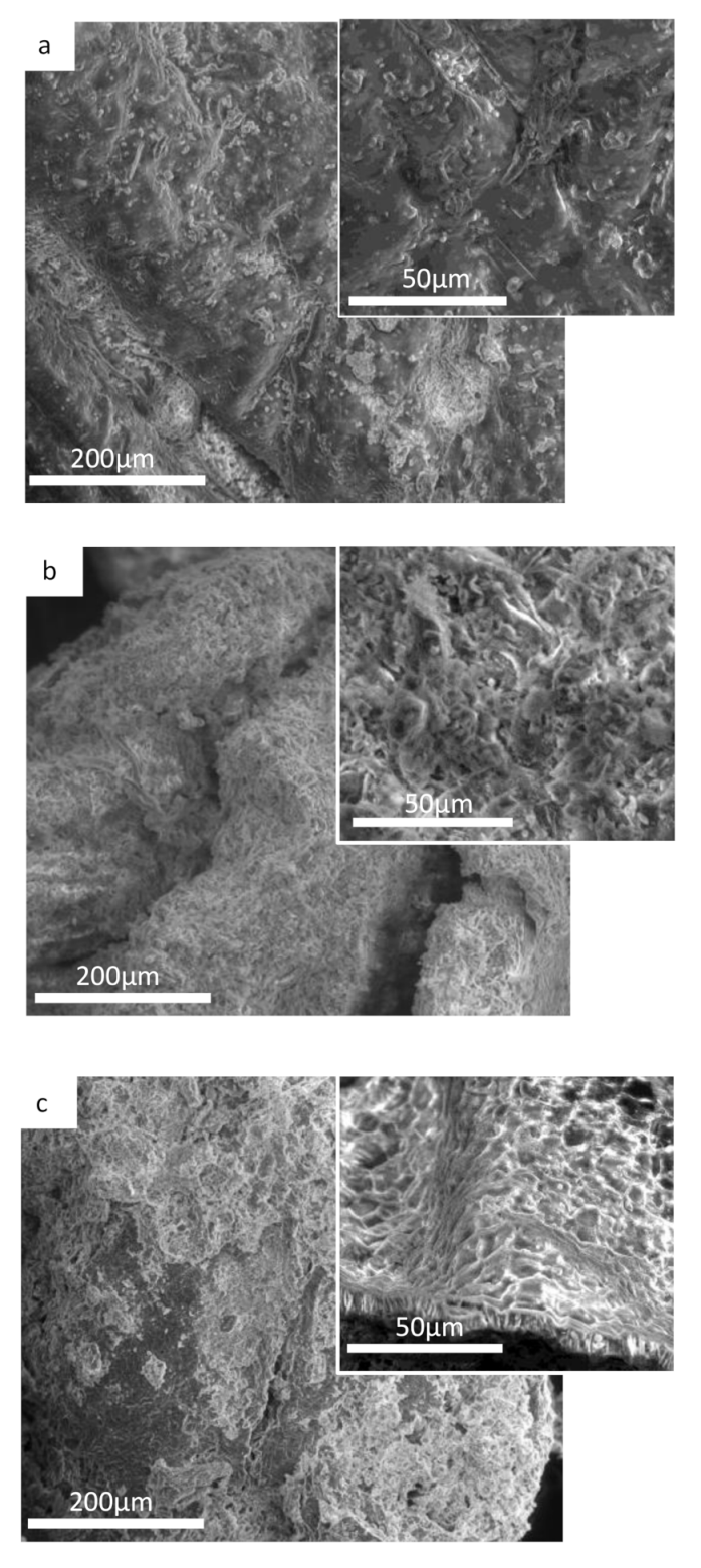 Energies 14 01034 g007