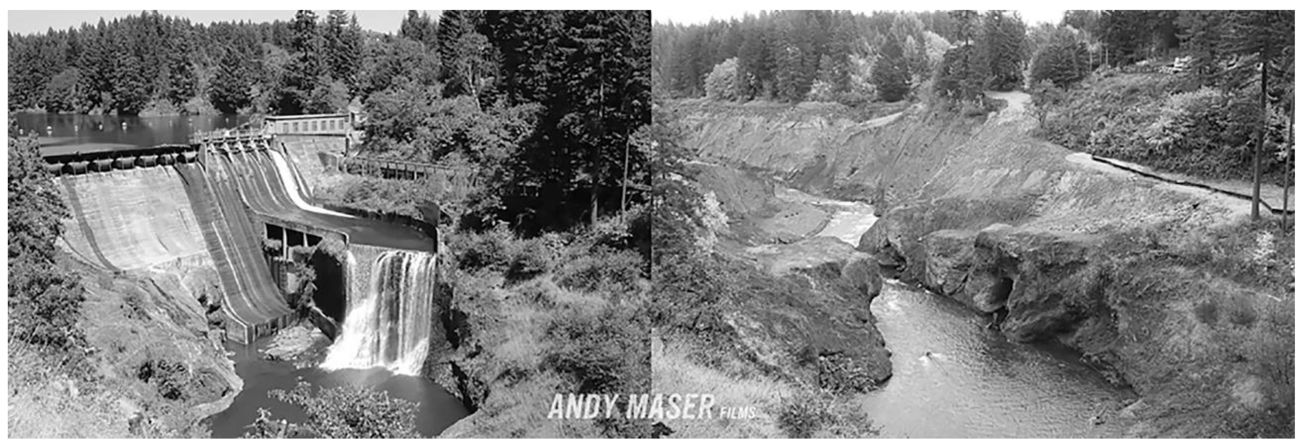 Energies 14 01281 g010