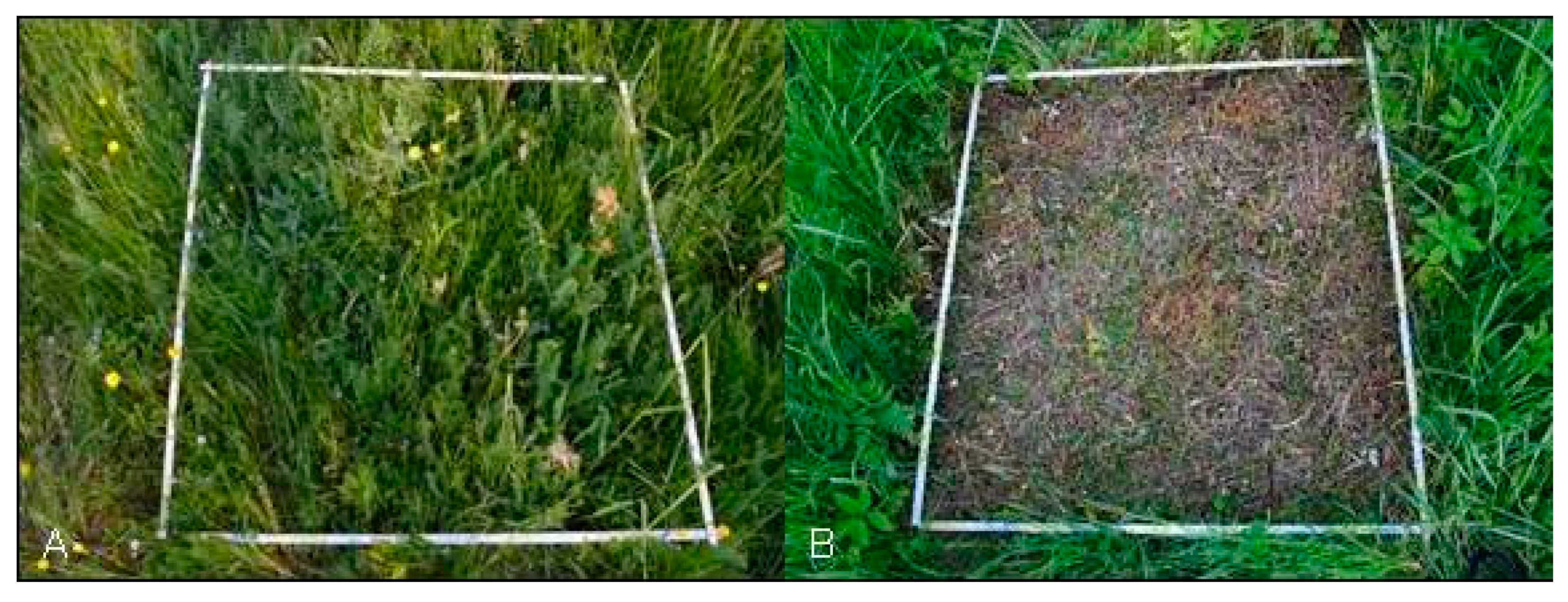 Energies 14 01312 g001 Energies 14 01312 g001