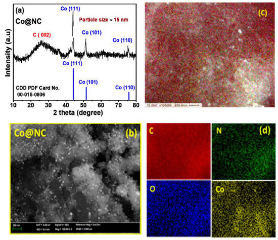 Cobalt Nanoparticle-Embedded Nitrogen-Doped Carbon Catalyst