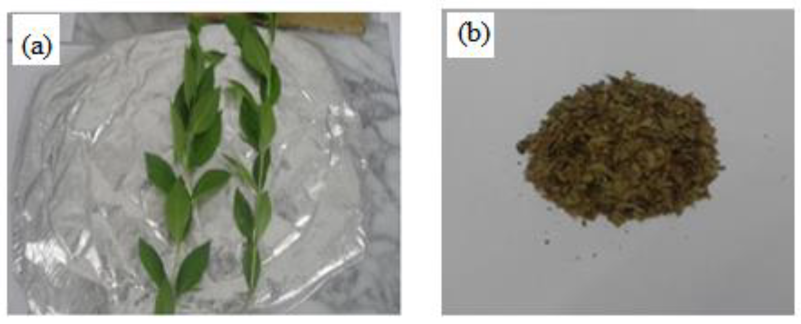 Energies 14 01329 g001 Energies 14 01329 g001