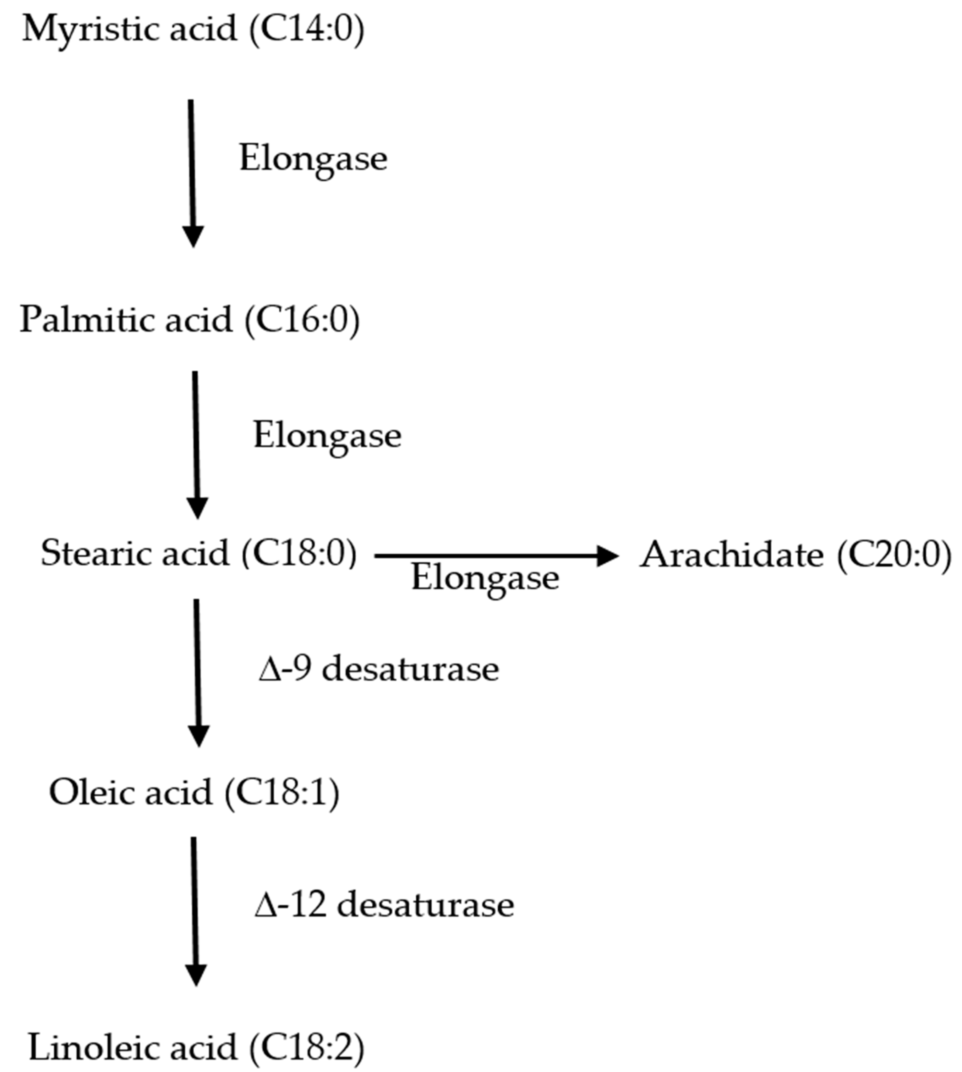 Energies 14 01411 g004