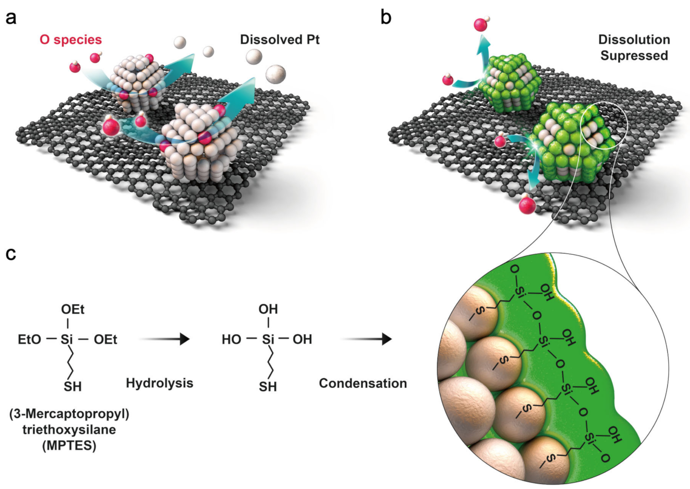 Energies 14 01419 g001