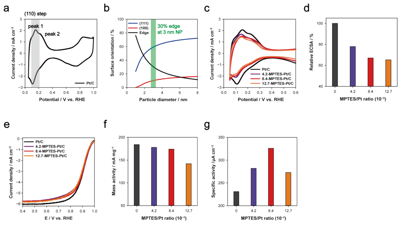 Energies 14 01419 g004